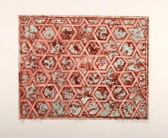 Abstract India Landscape Rajasthan Light Viscosity Print Natural Jali Earth Red