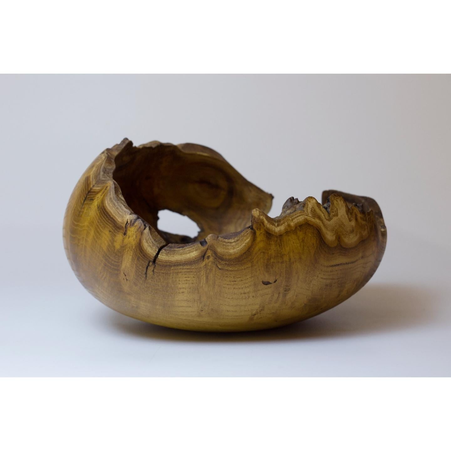 Mulberry Burl Vase by Vlad Droz In New Condition In Geneve, CH