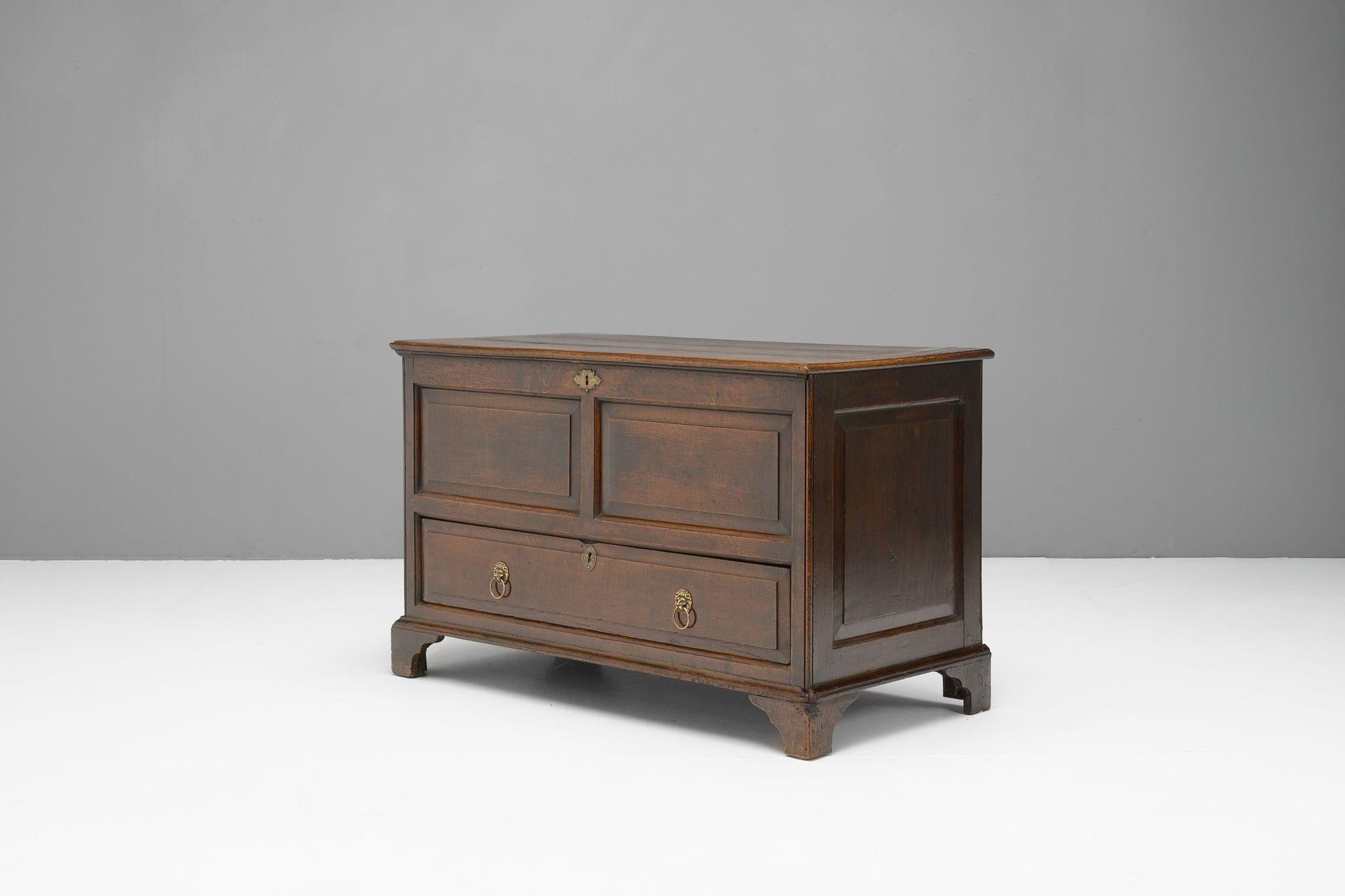 Mule Chest In Good Condition For Sale In London, England