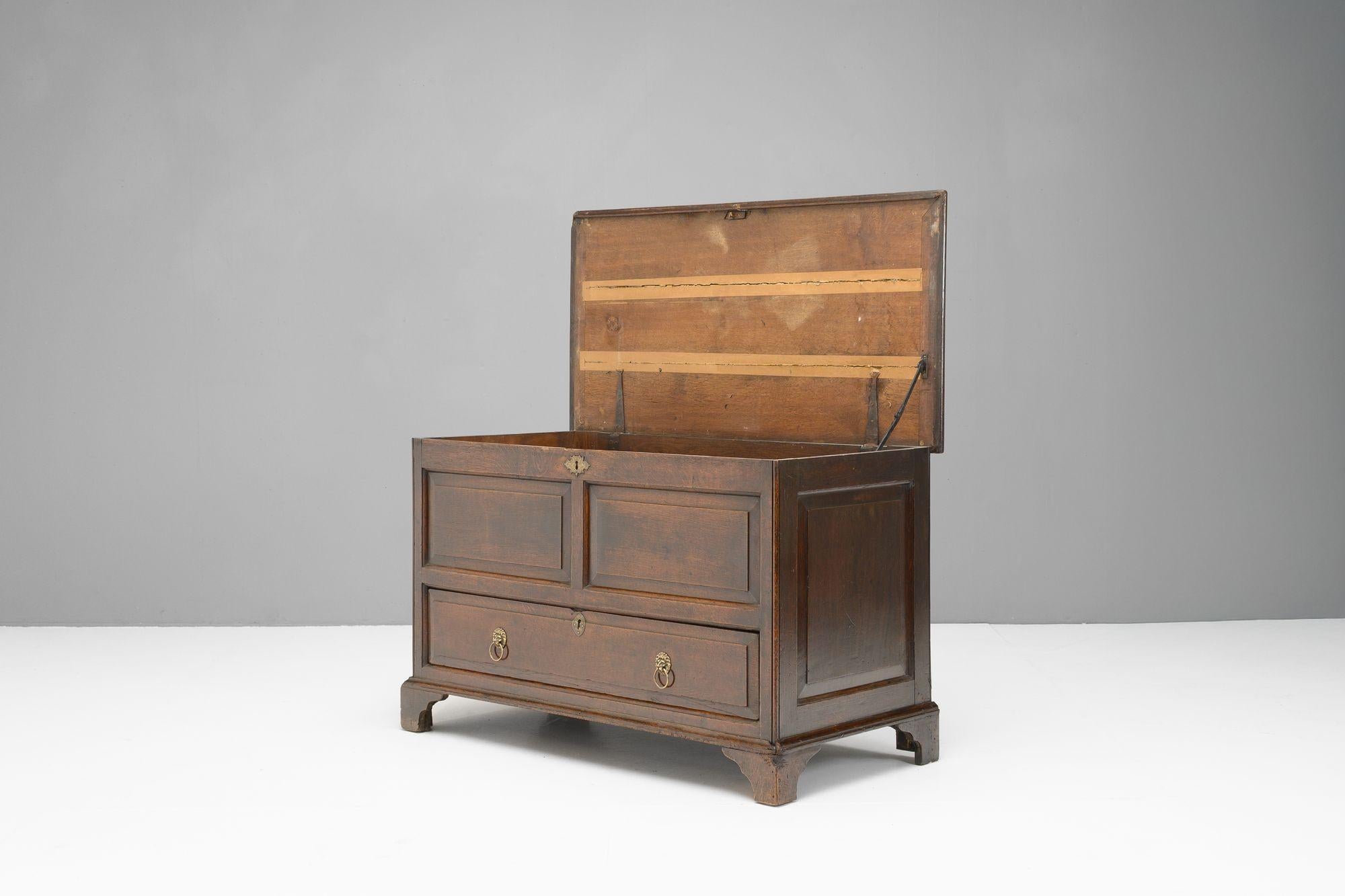 Early 19th Century Mule Chest For Sale
