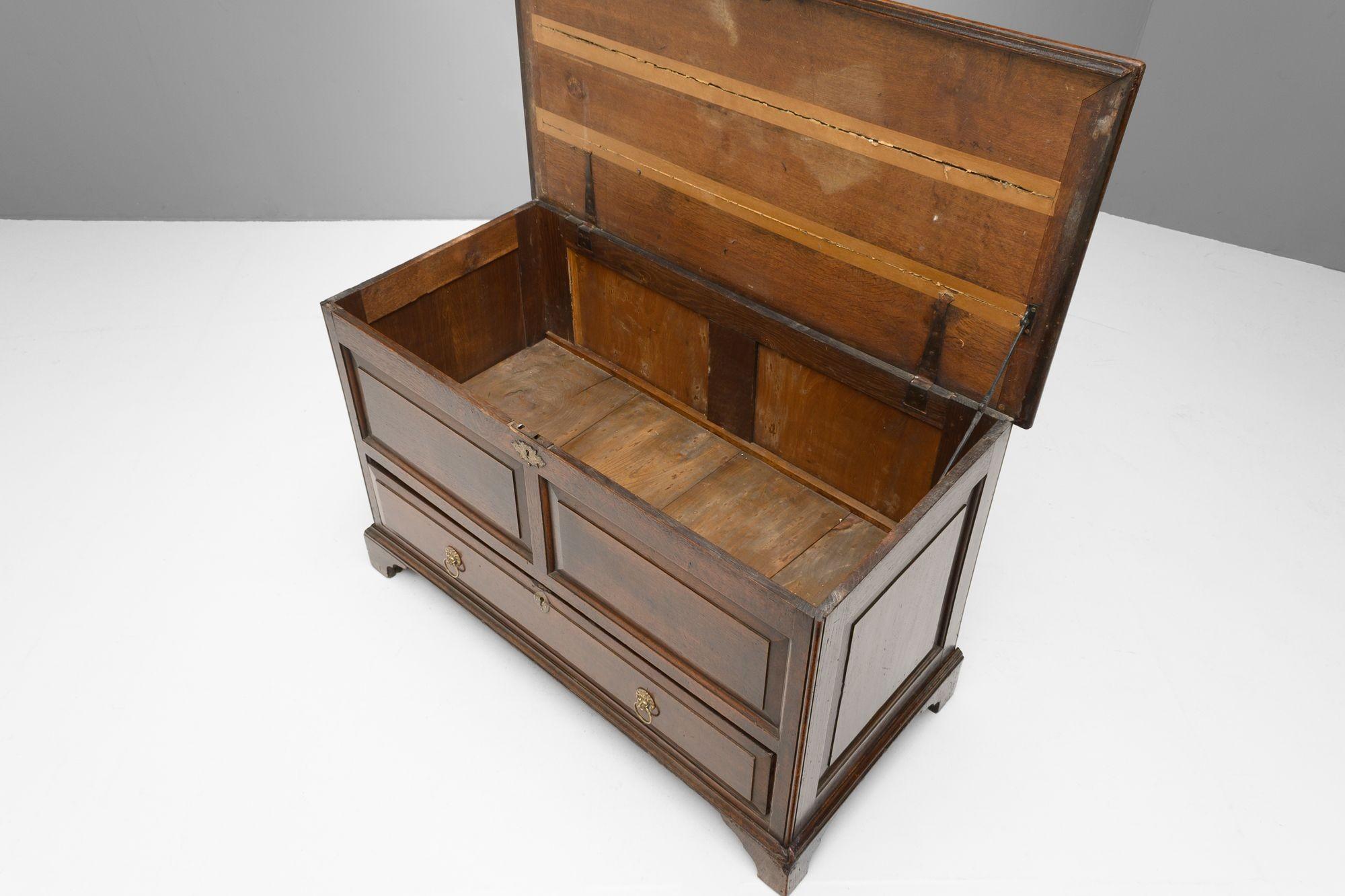 Mule Chest For Sale 1