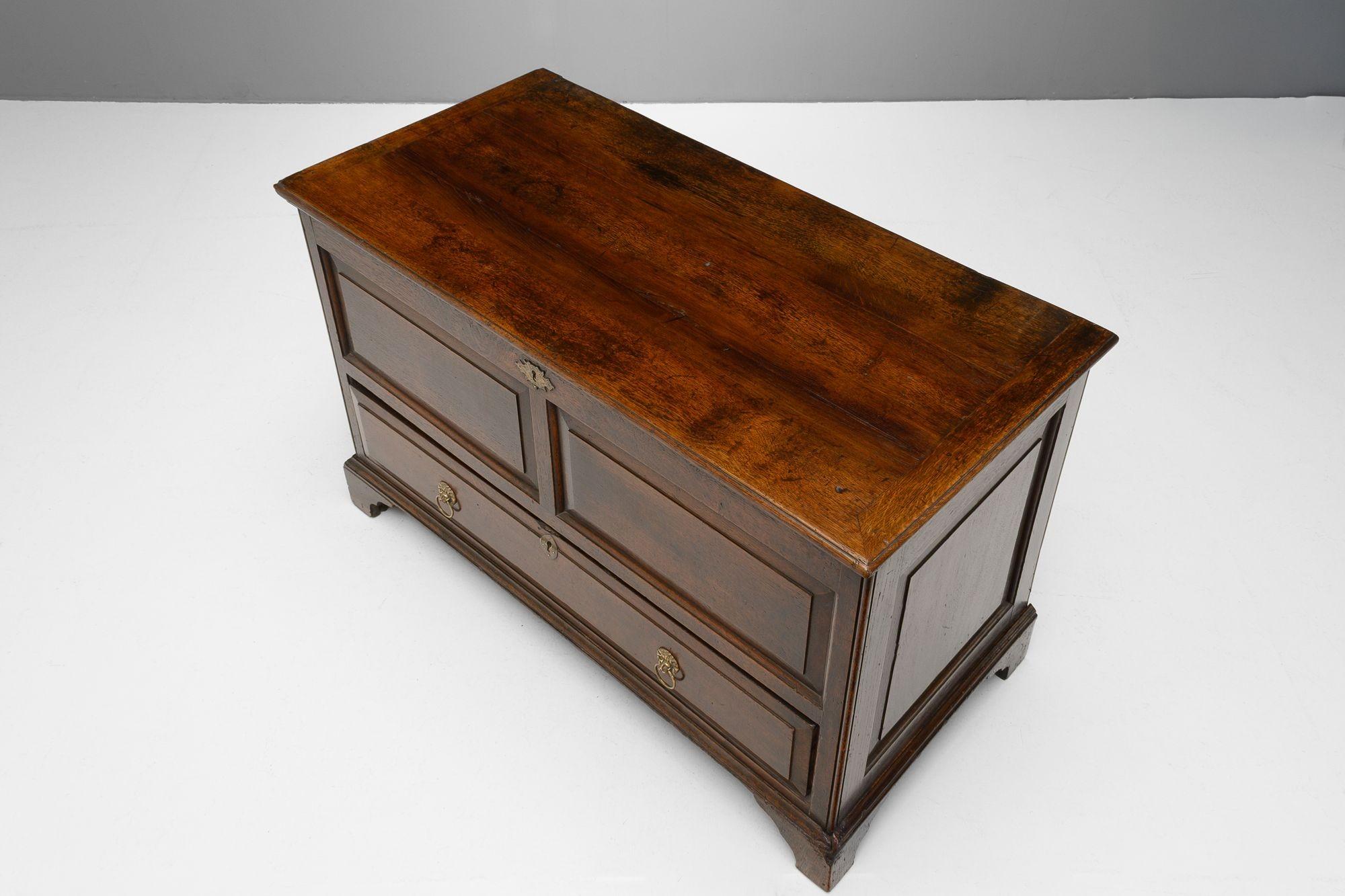 Mule Chest For Sale 3