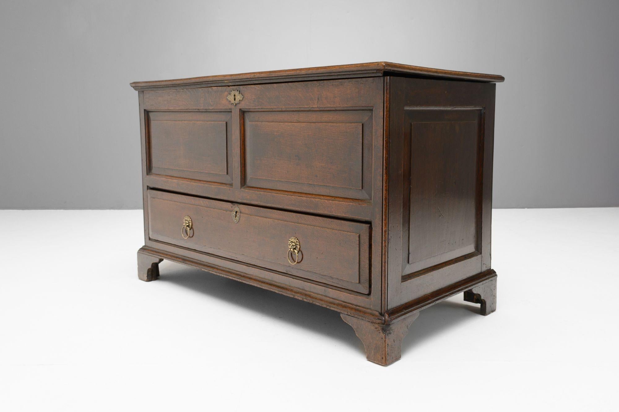 Mule Chest For Sale 4
