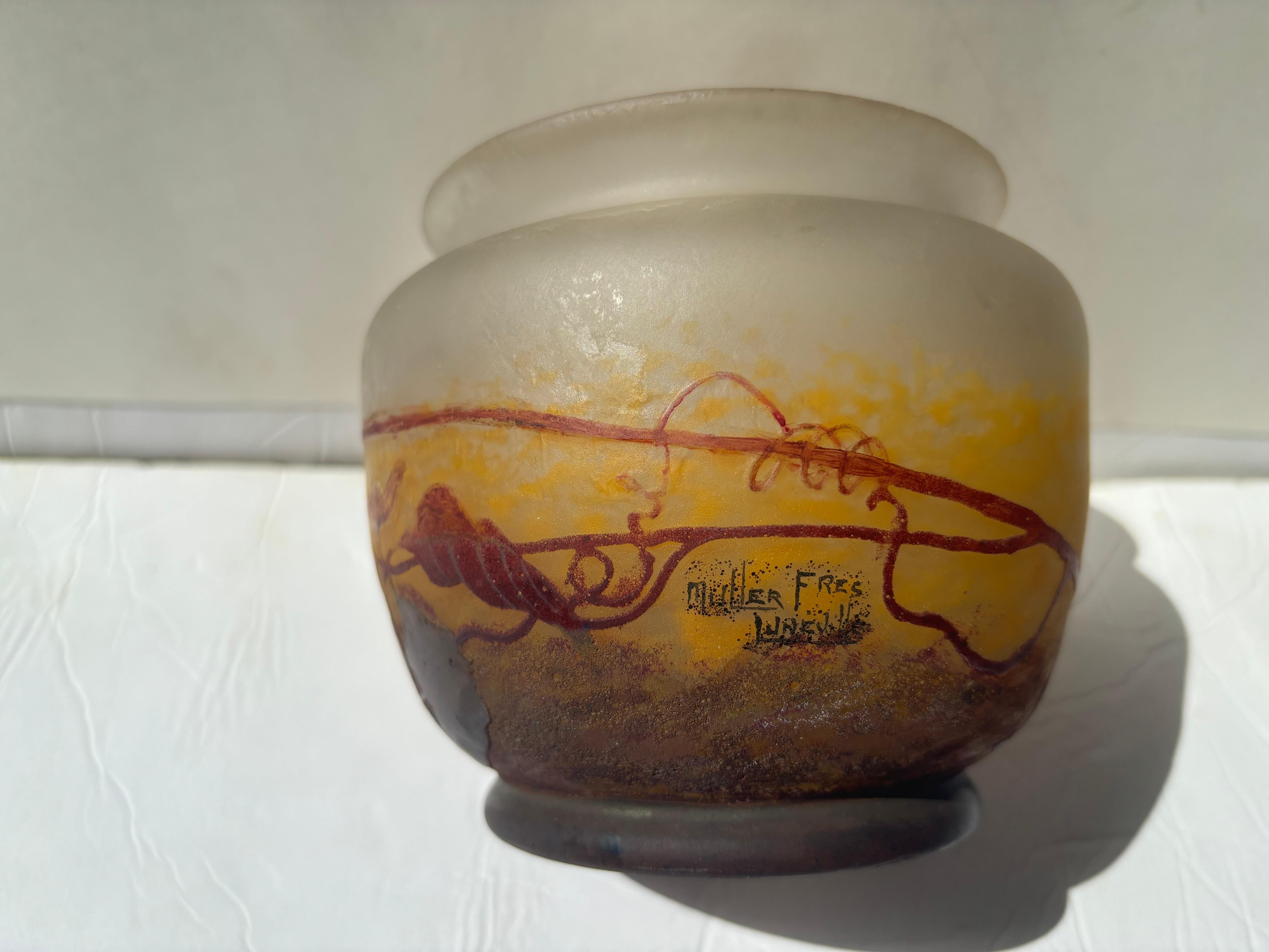 Verre Vase/ bol de Muller Freres en verre acide émaillé gravé en camée de camée en vente