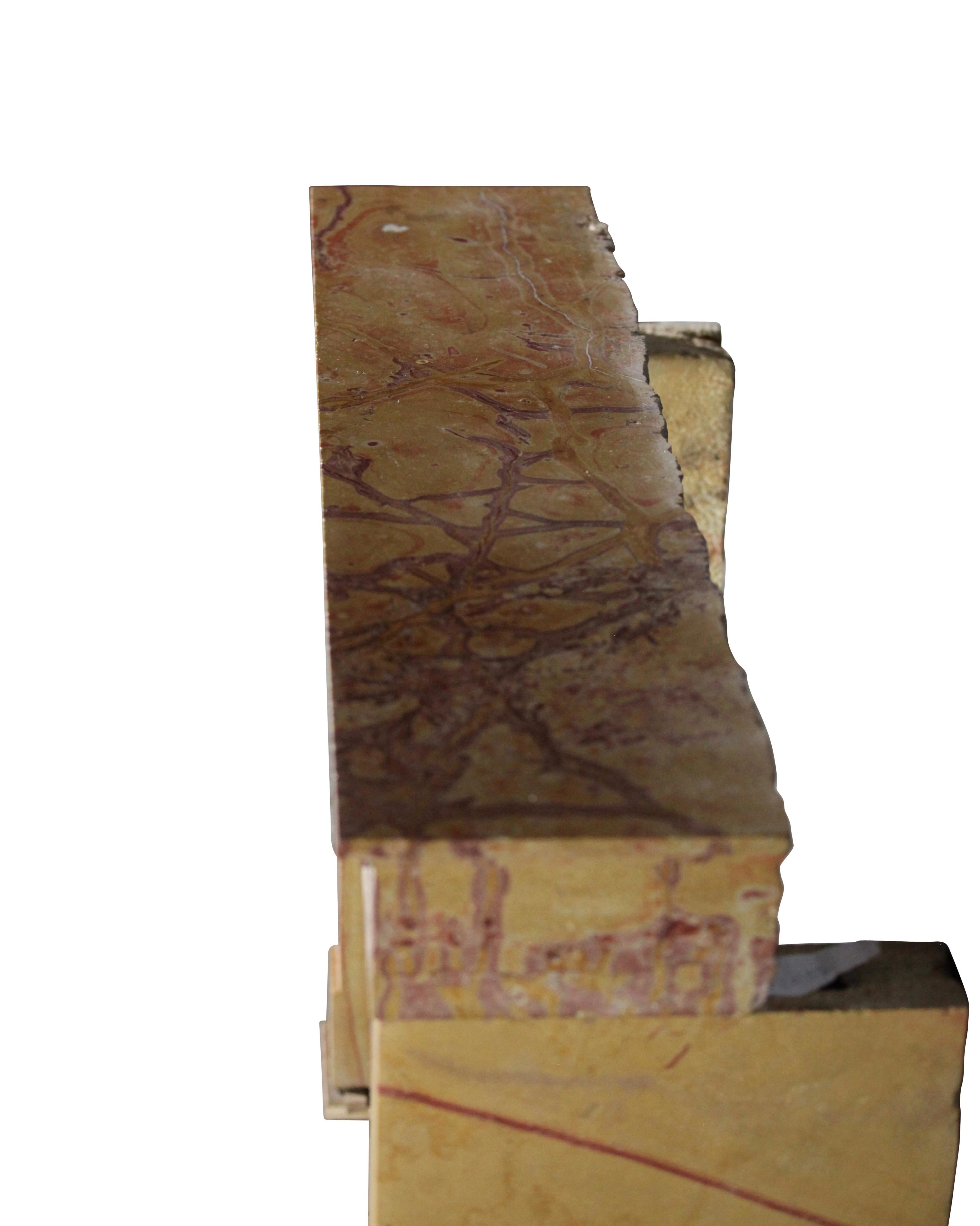 Encadrement de cheminée multicolore français vintage en pierre calcaire créé par la nature en vente 4
