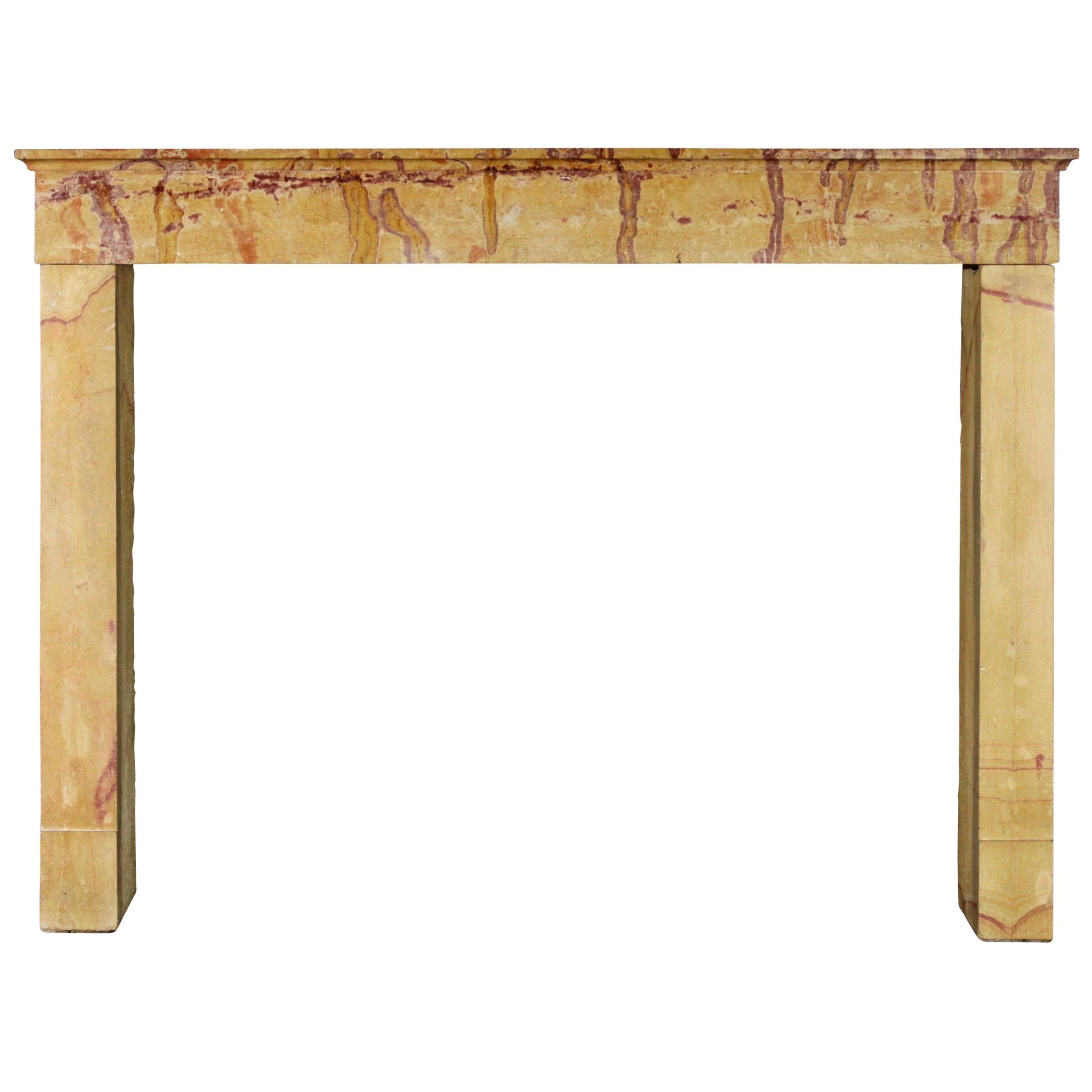 Multi-Color Created by Nature French Vintage Fireplace Surround in Limestone