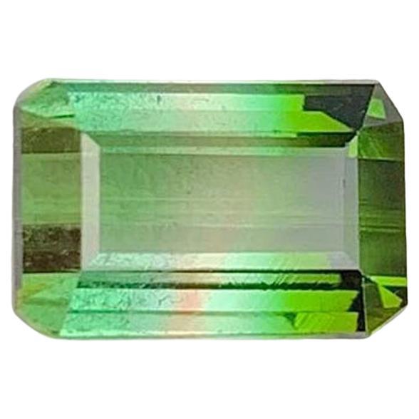 Multi Color Tourmaline Gemstone: Natural October Birthstone in vendita