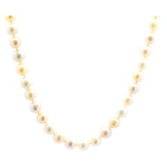 Multi Colored Semi Round Freshwater Pearl Necklace with 14k Yellow Gold Clasp