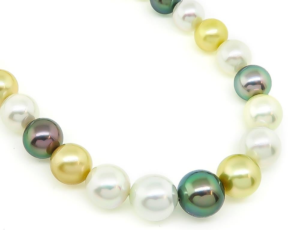 Women's or Men's Multicolored South Sea Pearl with Silver Clasp Necklace