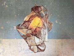 Multi Purple Pendant Lamp in Bio Material with Natural Dyes by Thibault Philip