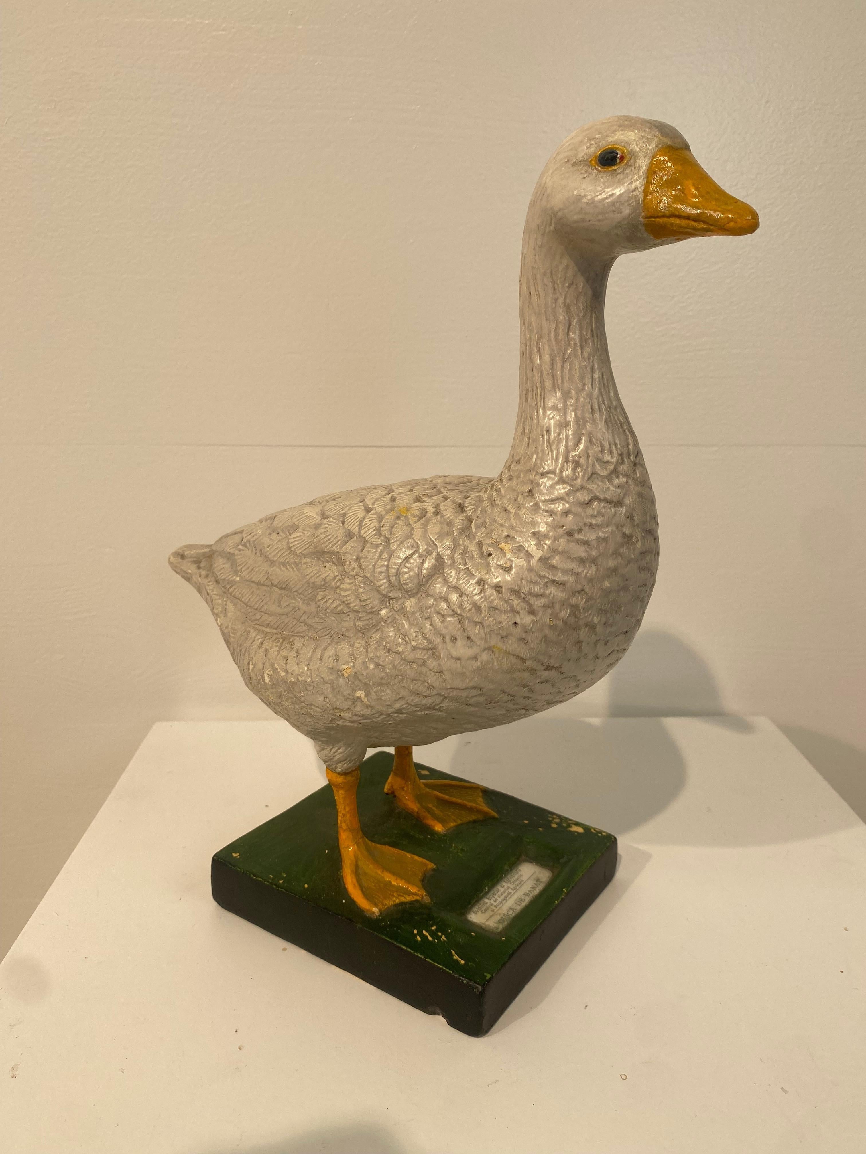 A model of a Goose made in plaster, hand-painted and multicolered,
elegant model and great patina and shine of the material,
used in schools as a scientific model or also used as display
in the Ministry of Agriculture as here is the case,
with a