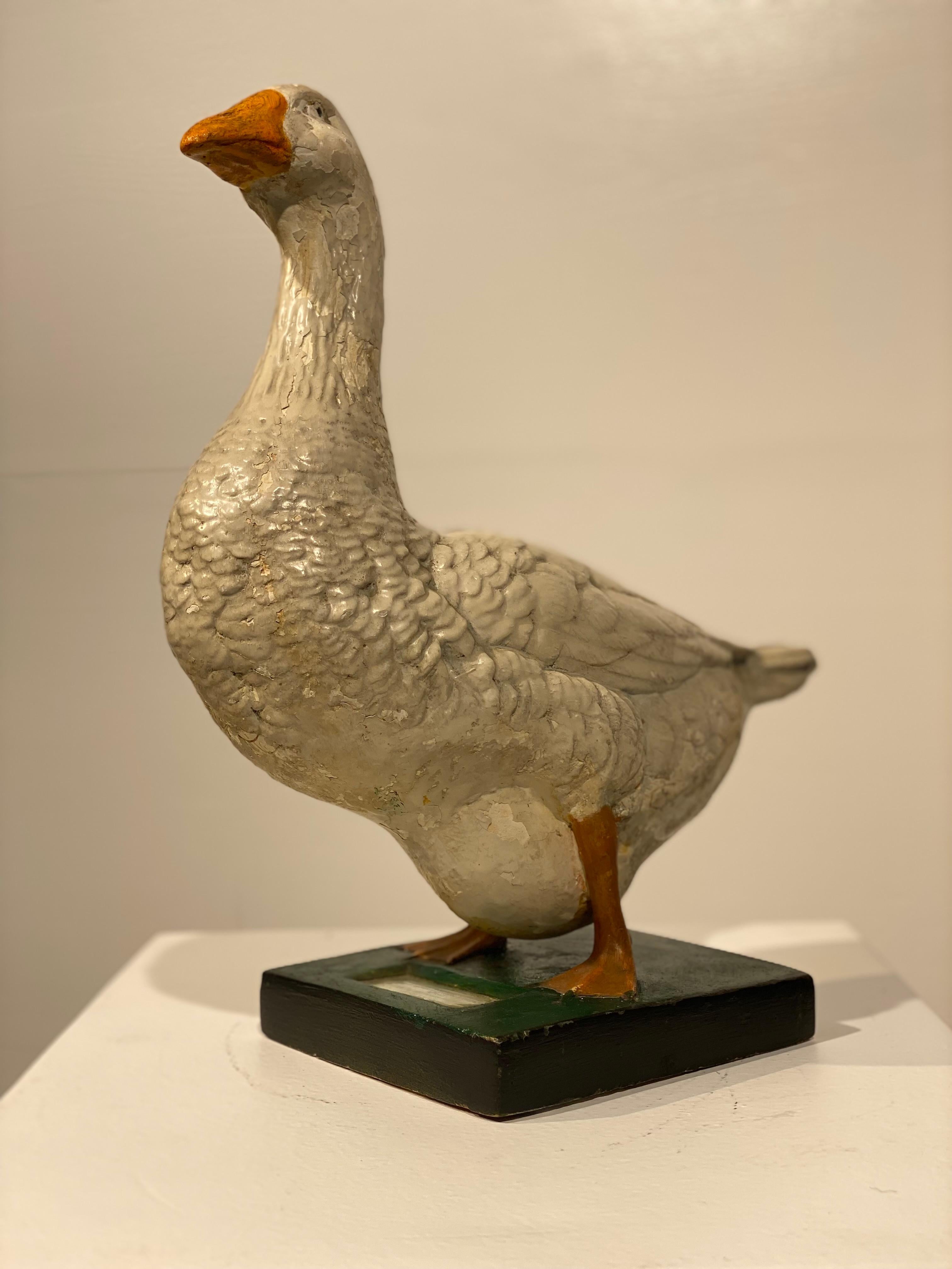 Un modello di oca in gesso, dipinto a mano e multicolore,
modello elegante e grande patina e lucentezza del materiale,
Utilizzato nelle scuole come modello scientifico o anche come espositore.
nel Ministero dell'Agricoltura, come in questo caso,
con