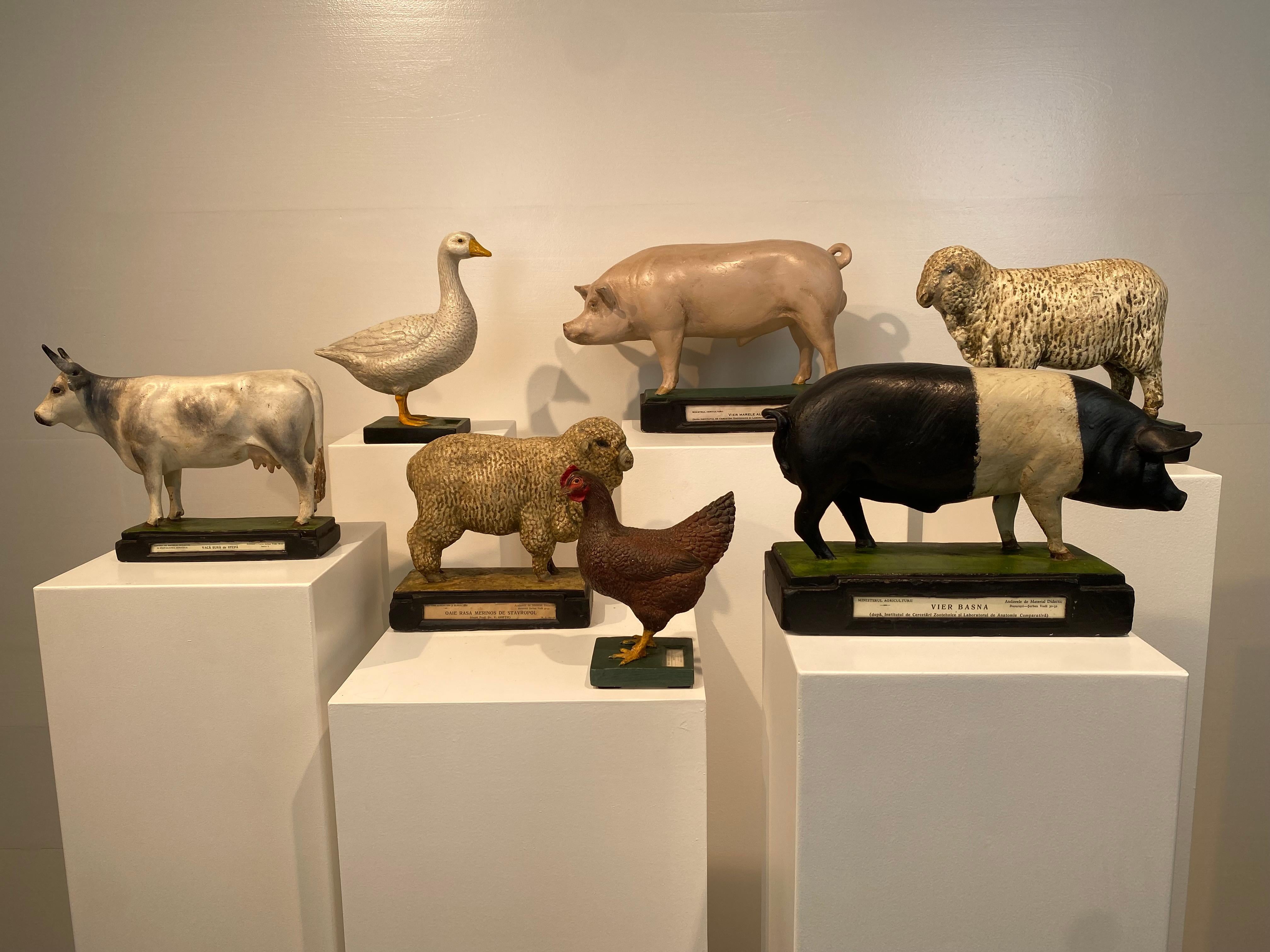 Multicolered Sculpture of a Goose For Sale 3