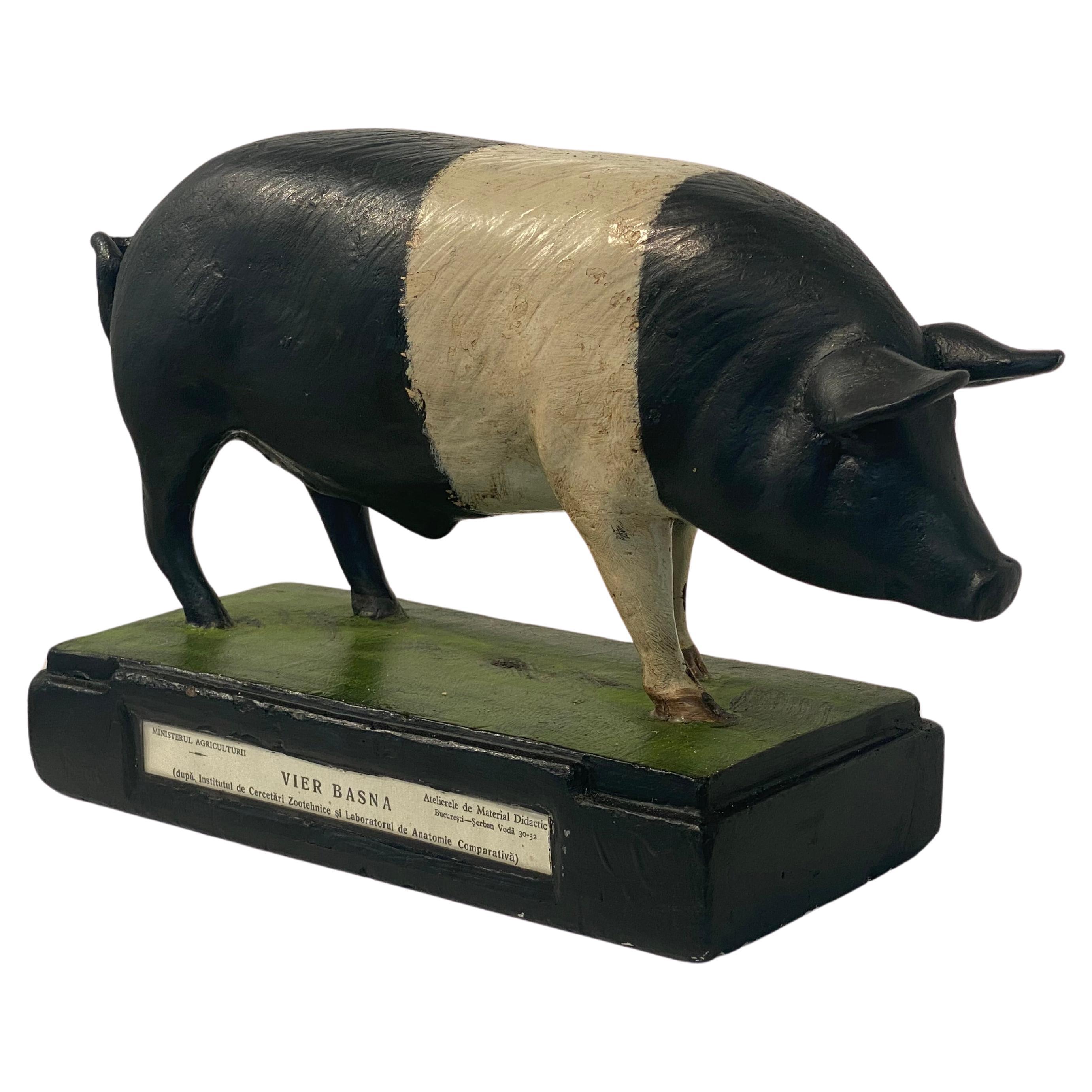 Multicolered Sculpture of a Pig