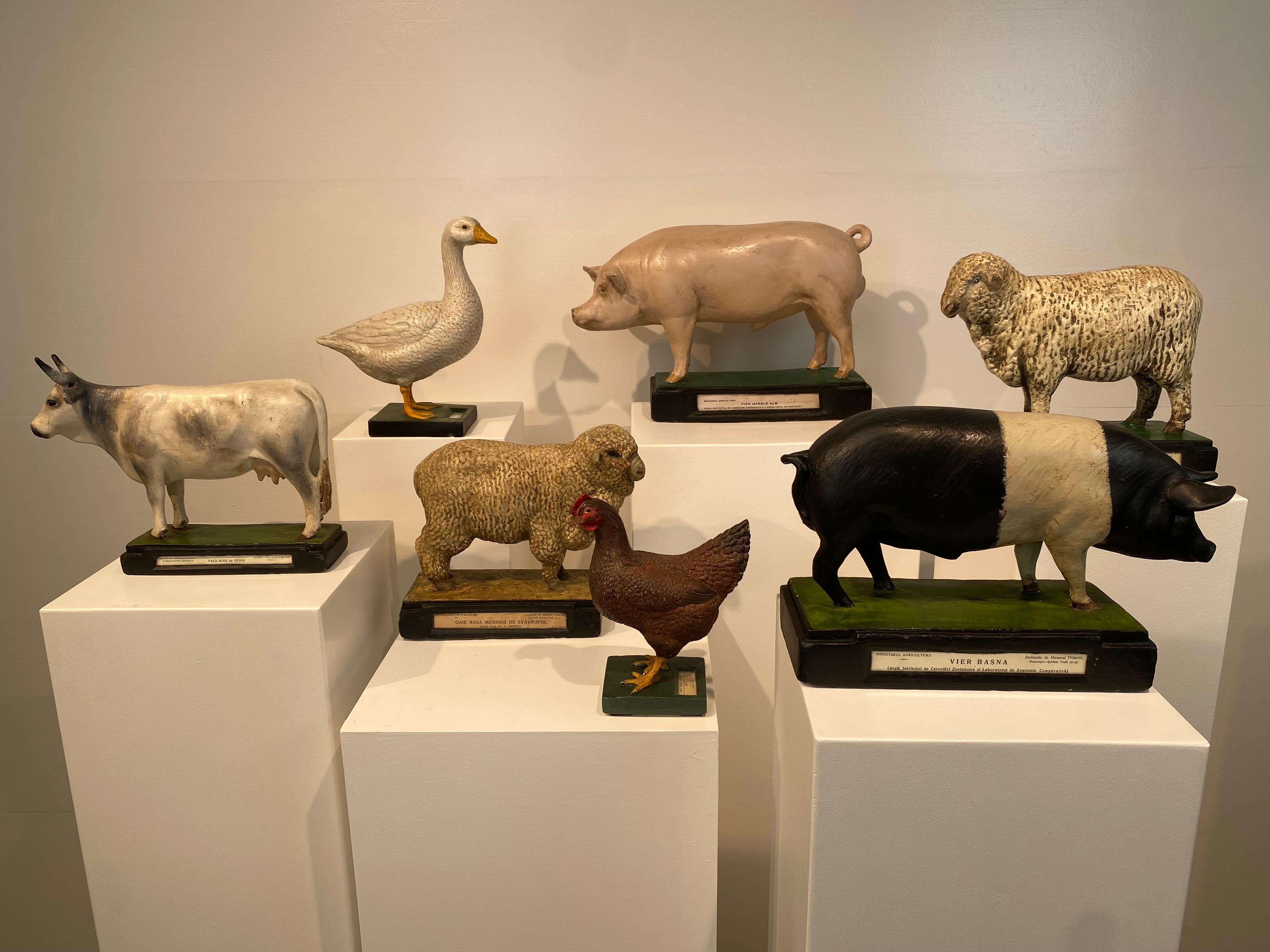 Multicolered Sculpture of a Ram For Sale 5