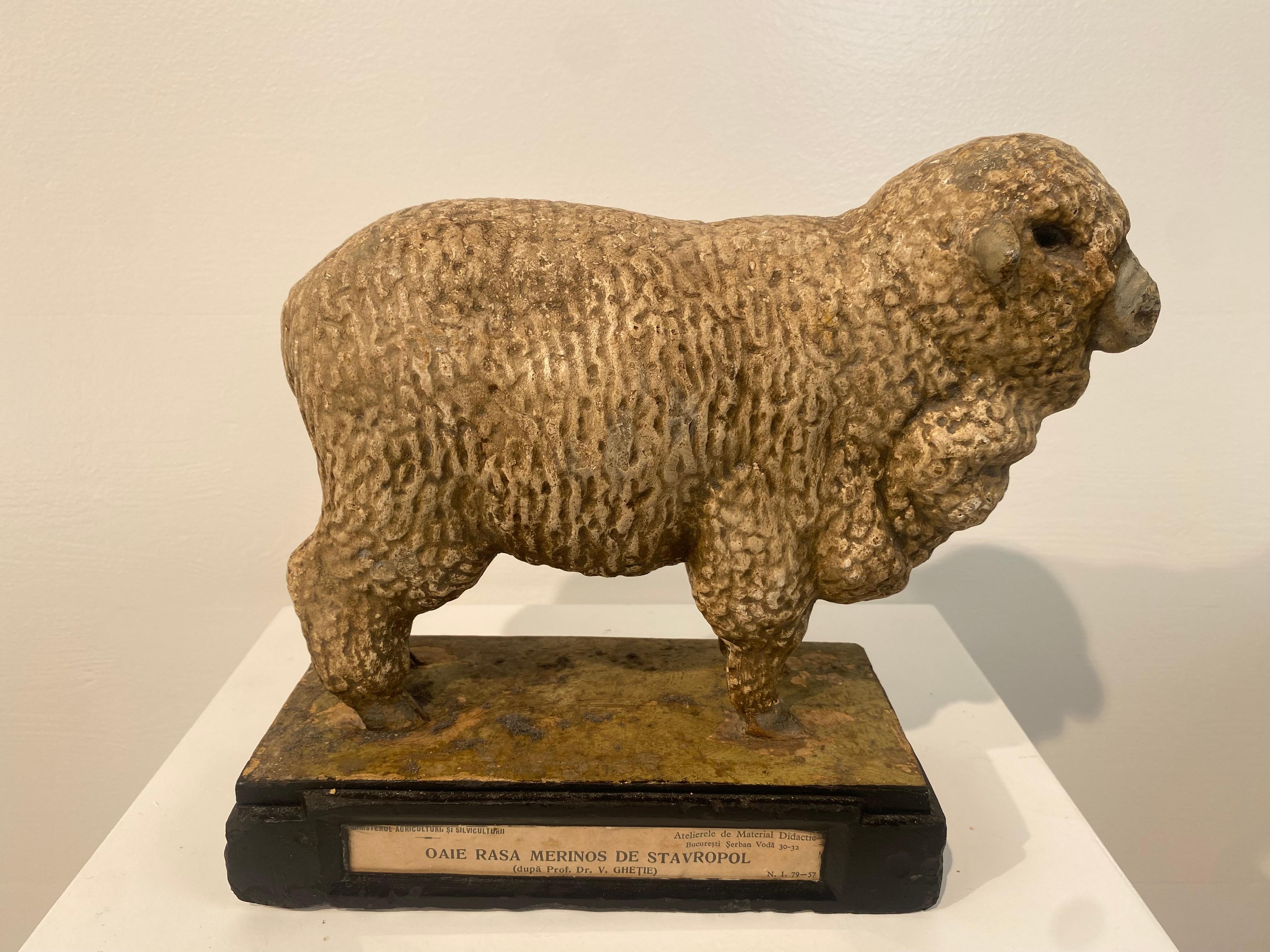 Multicolered Sculpture of a Ram For Sale 2