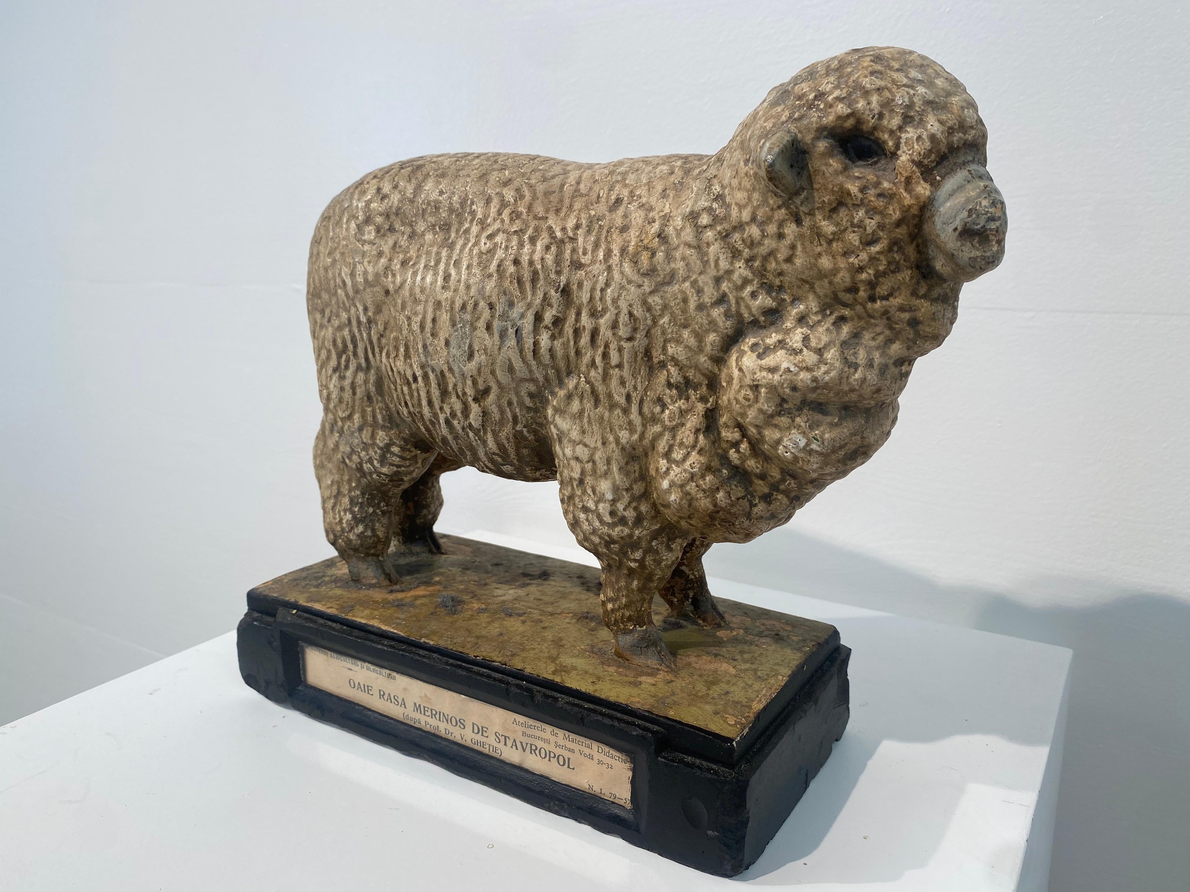 Multicolered Sculpture of a Ram For Sale 3