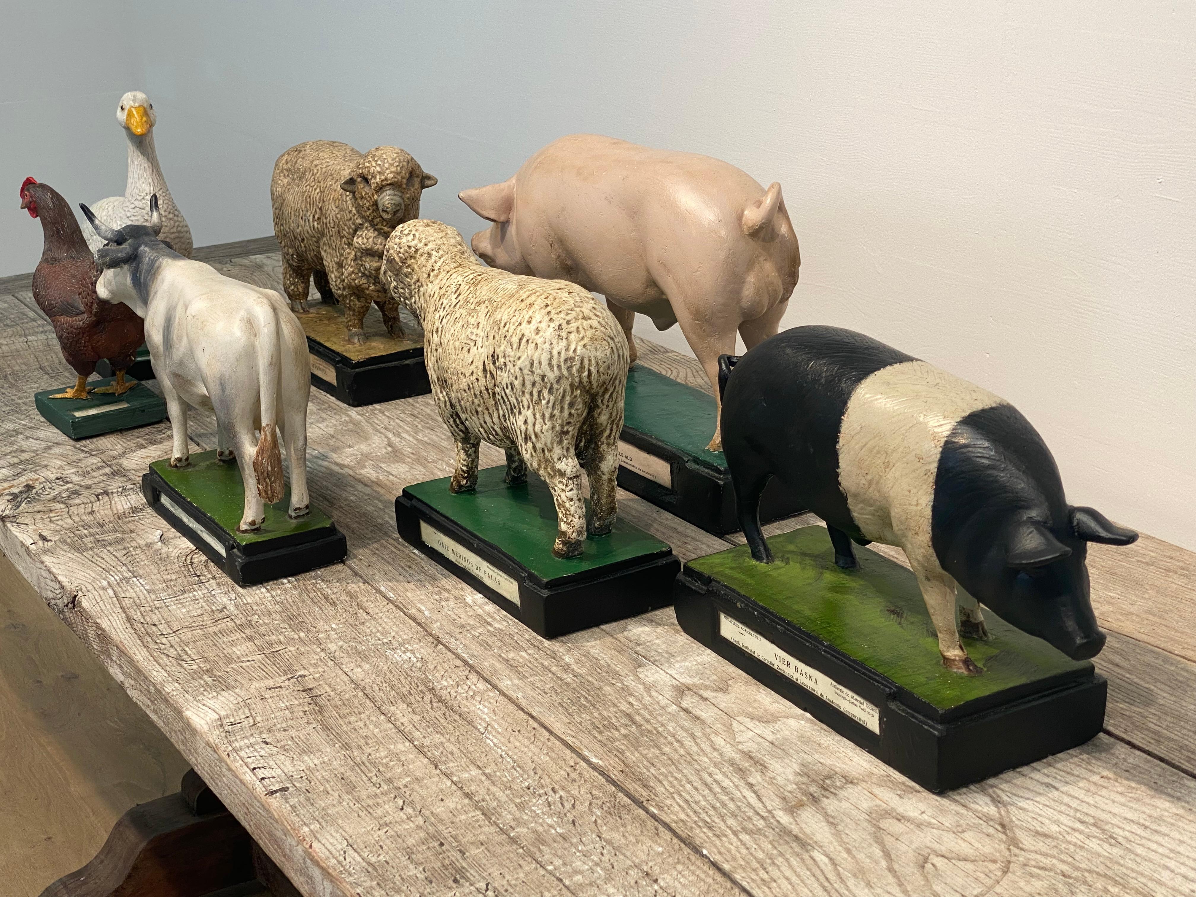 Sculpture de mouton multicolore en vente 5