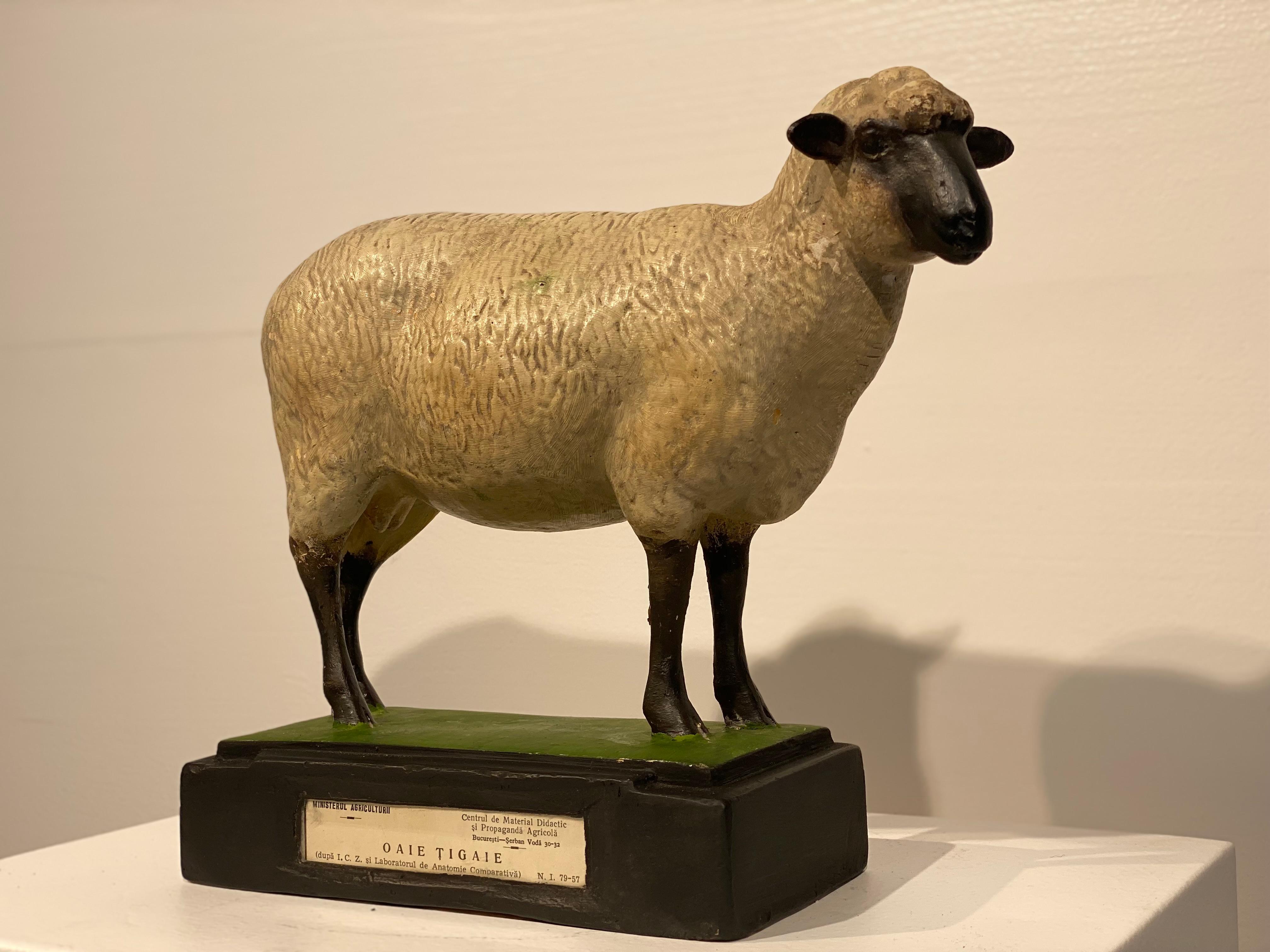 Romanian Multicolered Sculpture of a Sheep For Sale