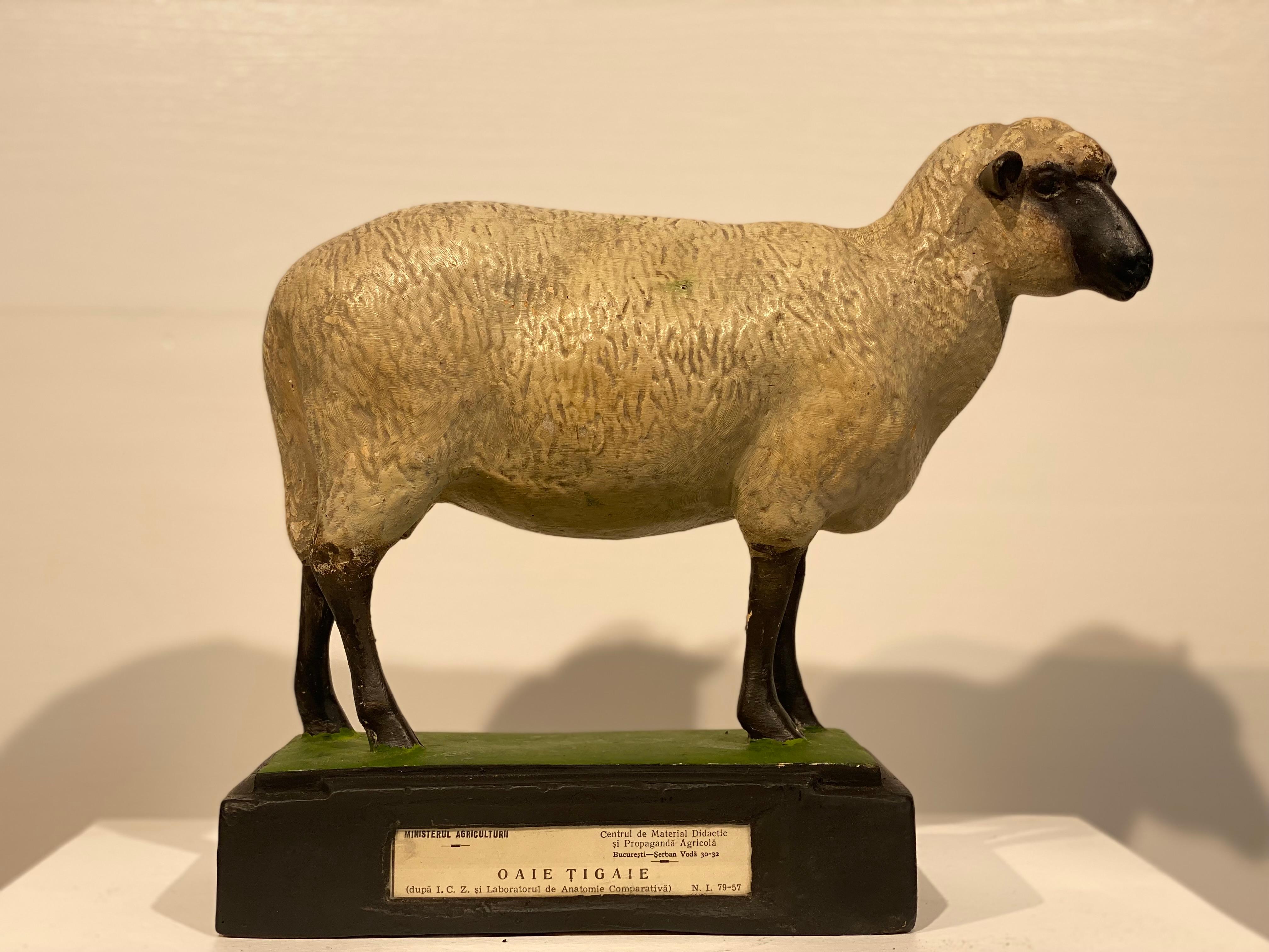 Multicolered Sculpture of a Sheep In Good Condition For Sale In Schellebelle, BE