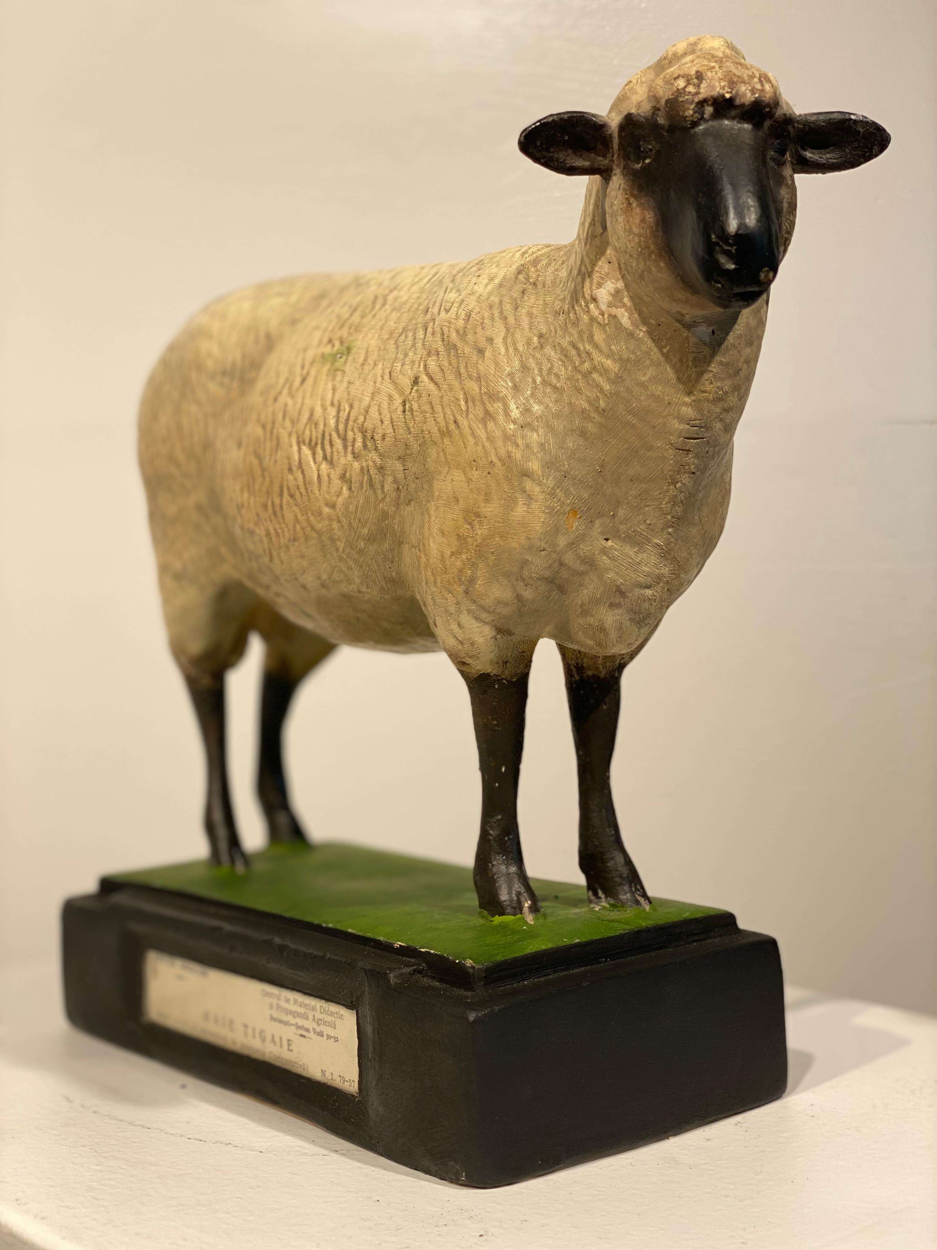 Plaster Multicolered Sculpture of a Sheep For Sale