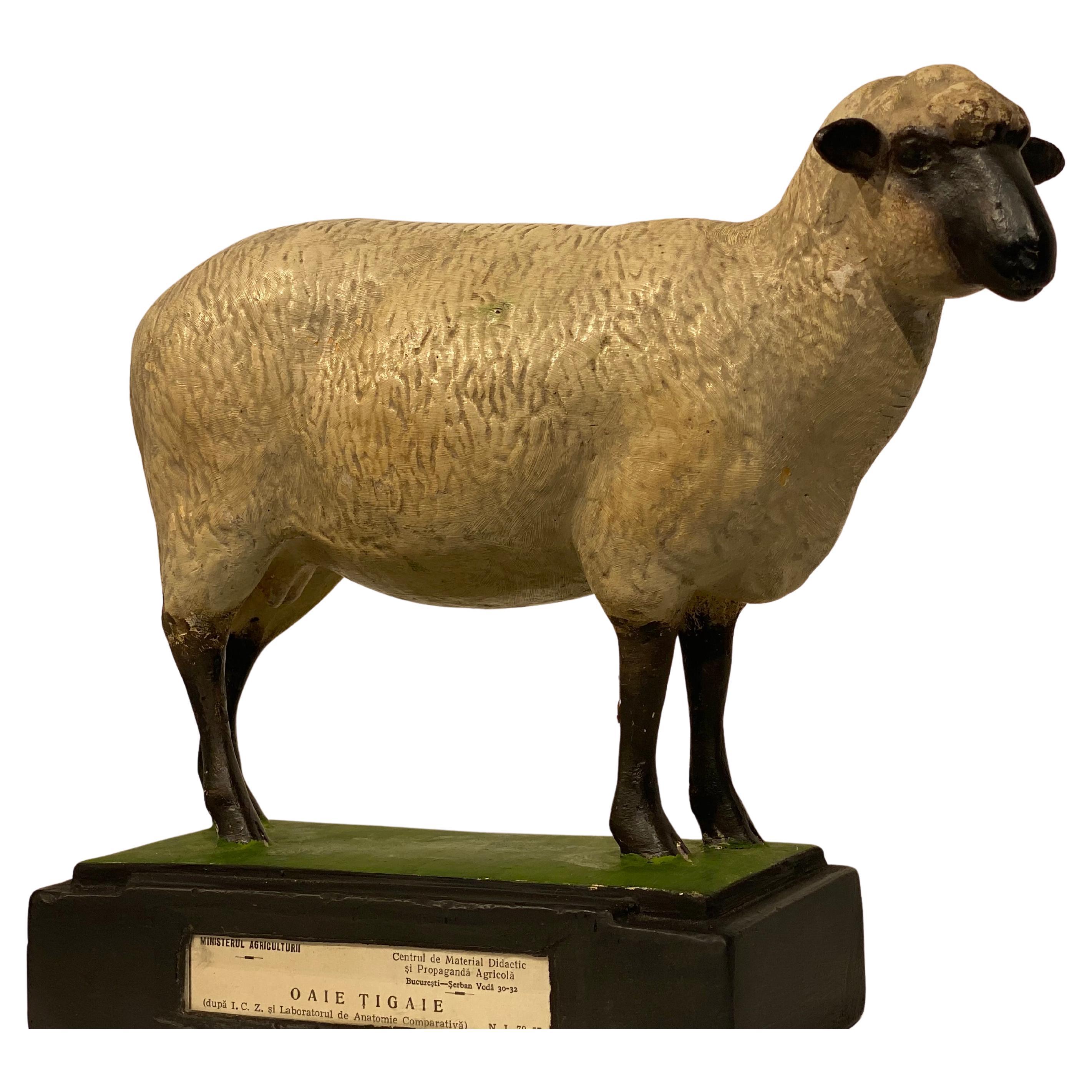Multicolered Sculpture of a Sheep
