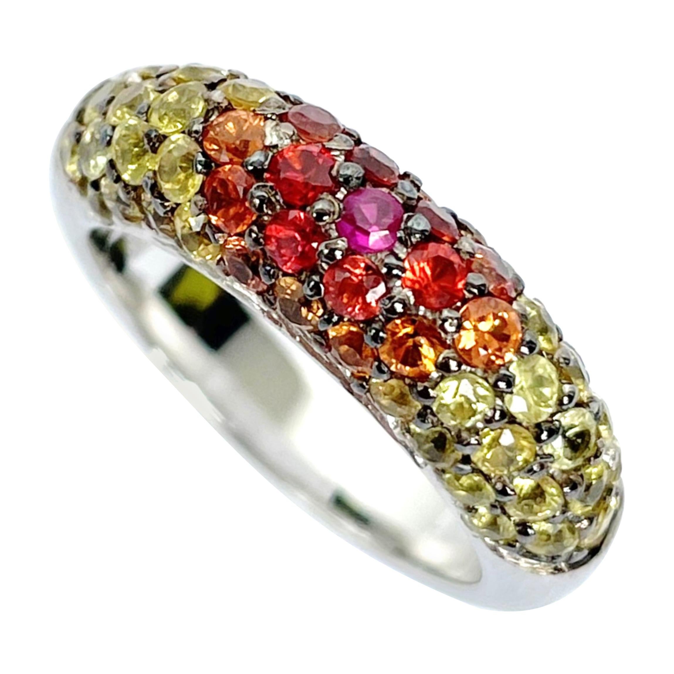 Rosior Multicolor Gemstone Band Ring set in White Gold For Sale