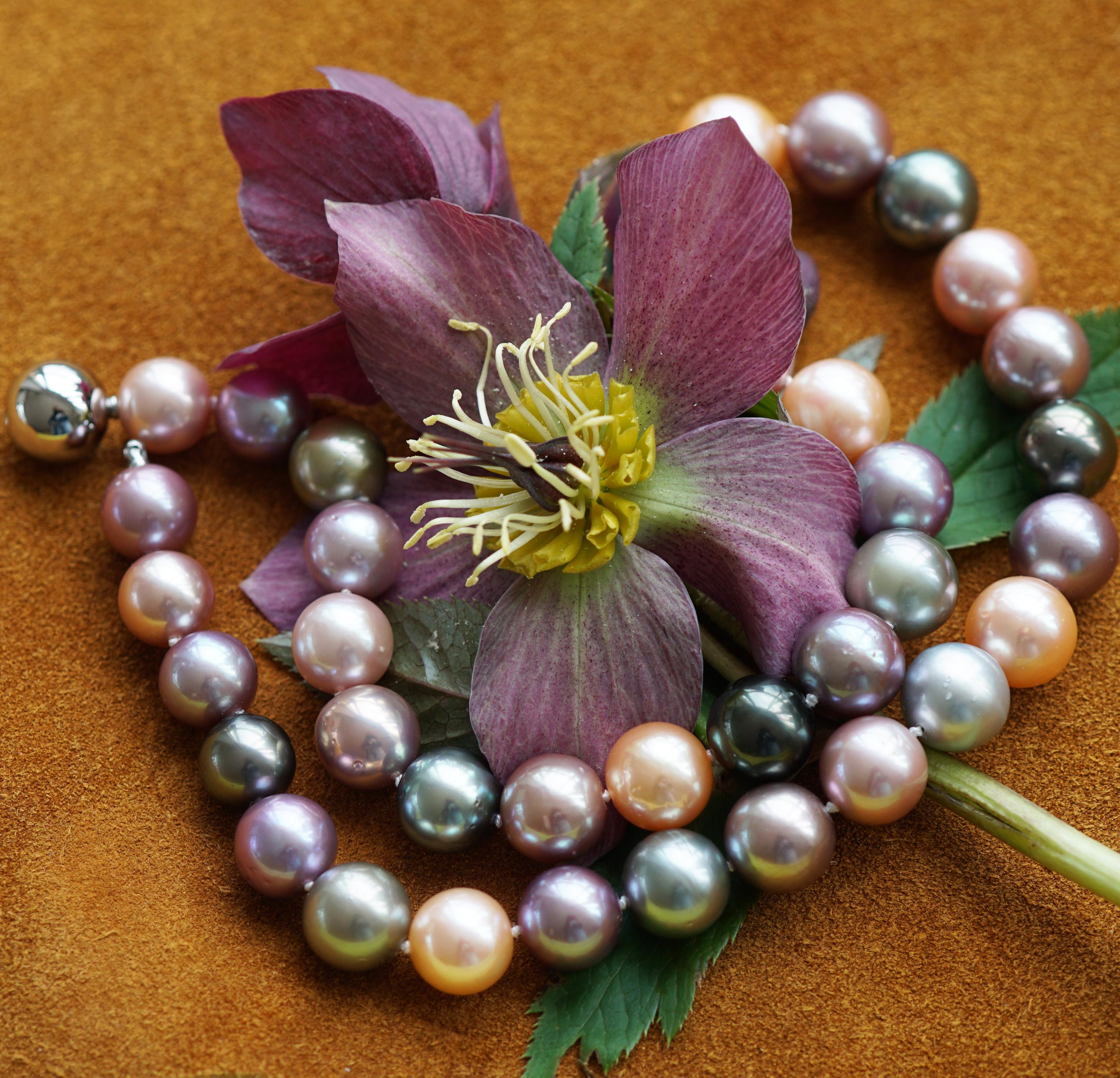 A wonderful multicolor palette of Tahitian cultured pearls and colored Ming pearls (freshwater cultured pearls with a core), gives a choice of colors in pink, lilac, apricot, anthracite, black and dark anthracite, round, AAA+, minor growth marks,