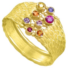 Anello Ghiacciaio scolpito in oro giallo con zaffiro multicolore, Barbara Heinrich 2025