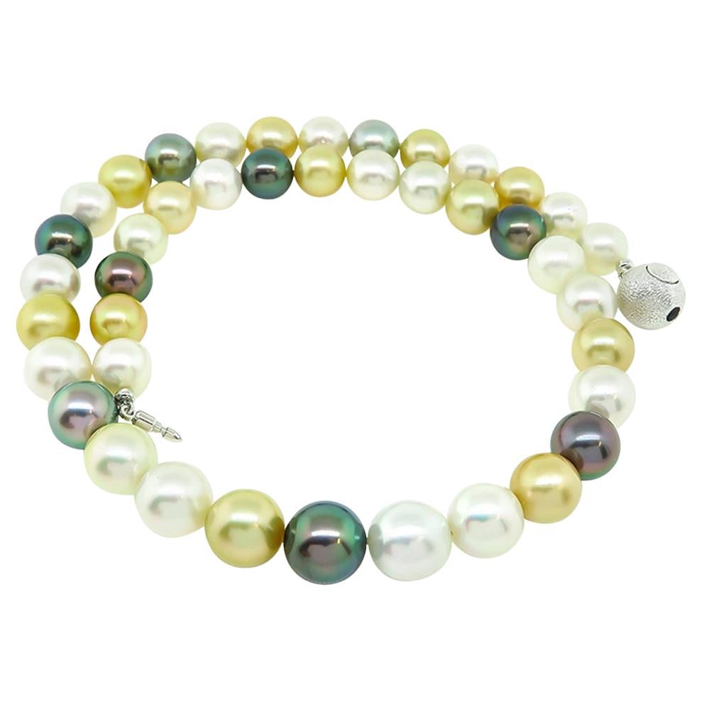 Multicolored South Sea Pearl with Silver Clasp Necklace