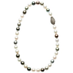 Susan Lister Locke 19" Tahitian and South Sea Pearls with Pave Diamond Clasp