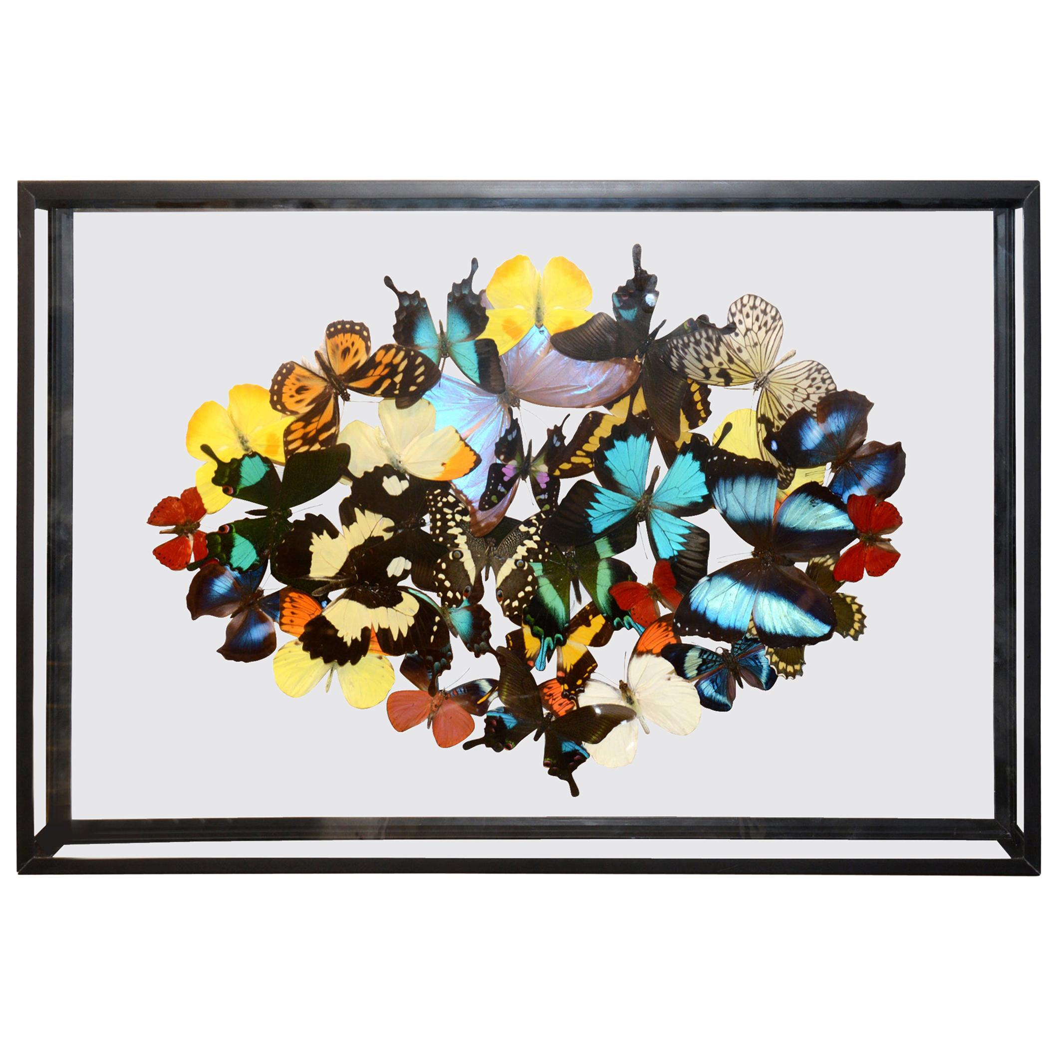 New And Custom Decorative Art