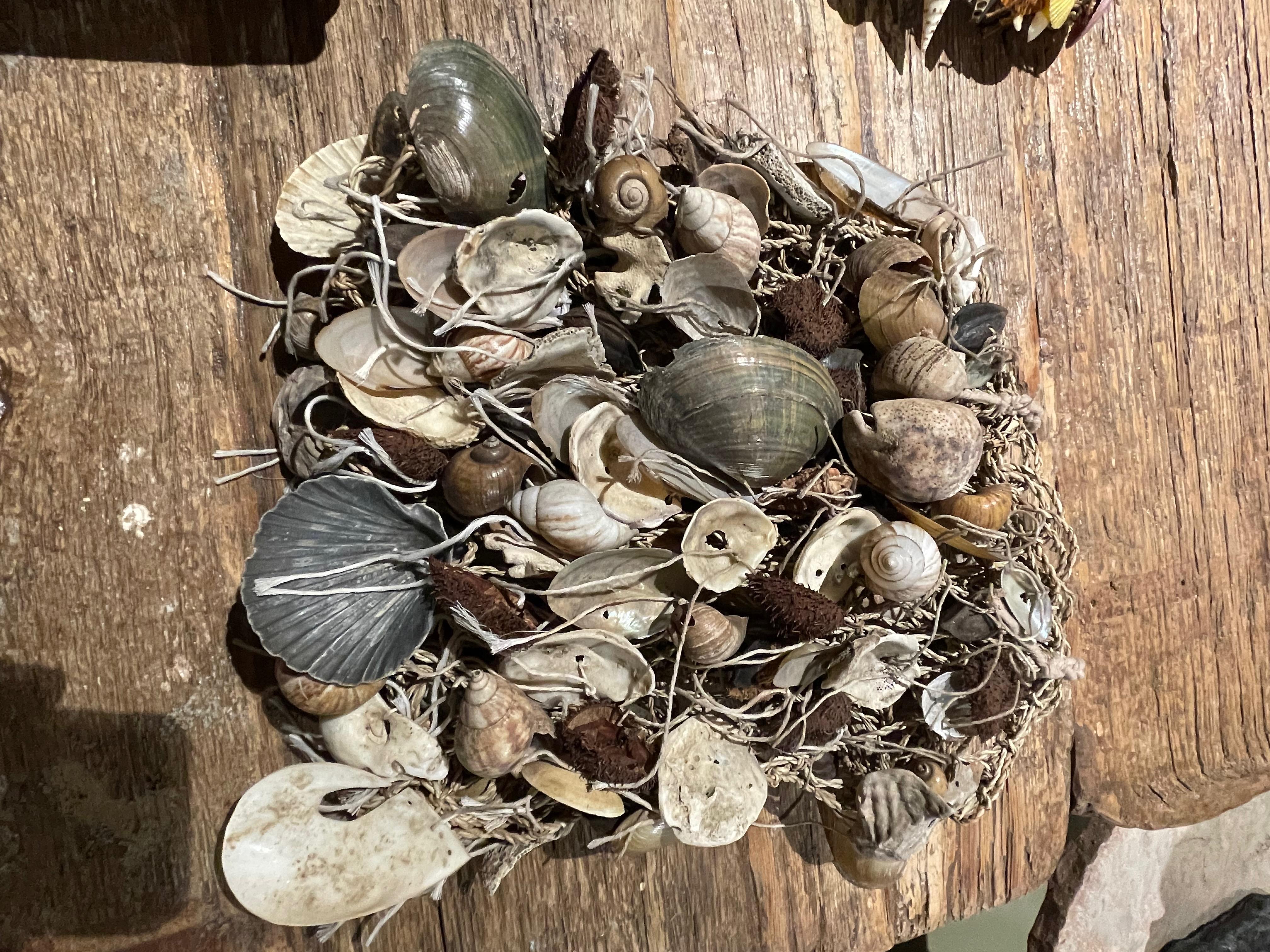 conchiglie indonesia