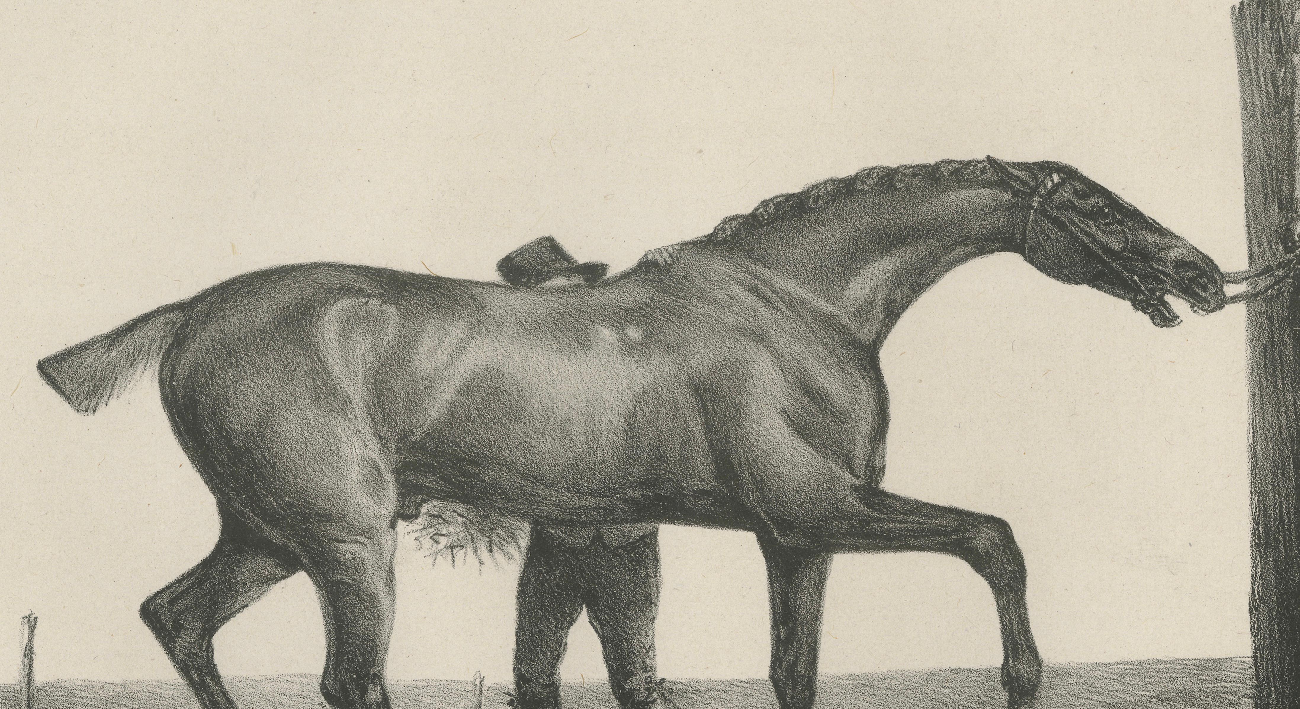 Muly Moloch – Antique Sporting Horse Lithograph, Hullmandel c.1840