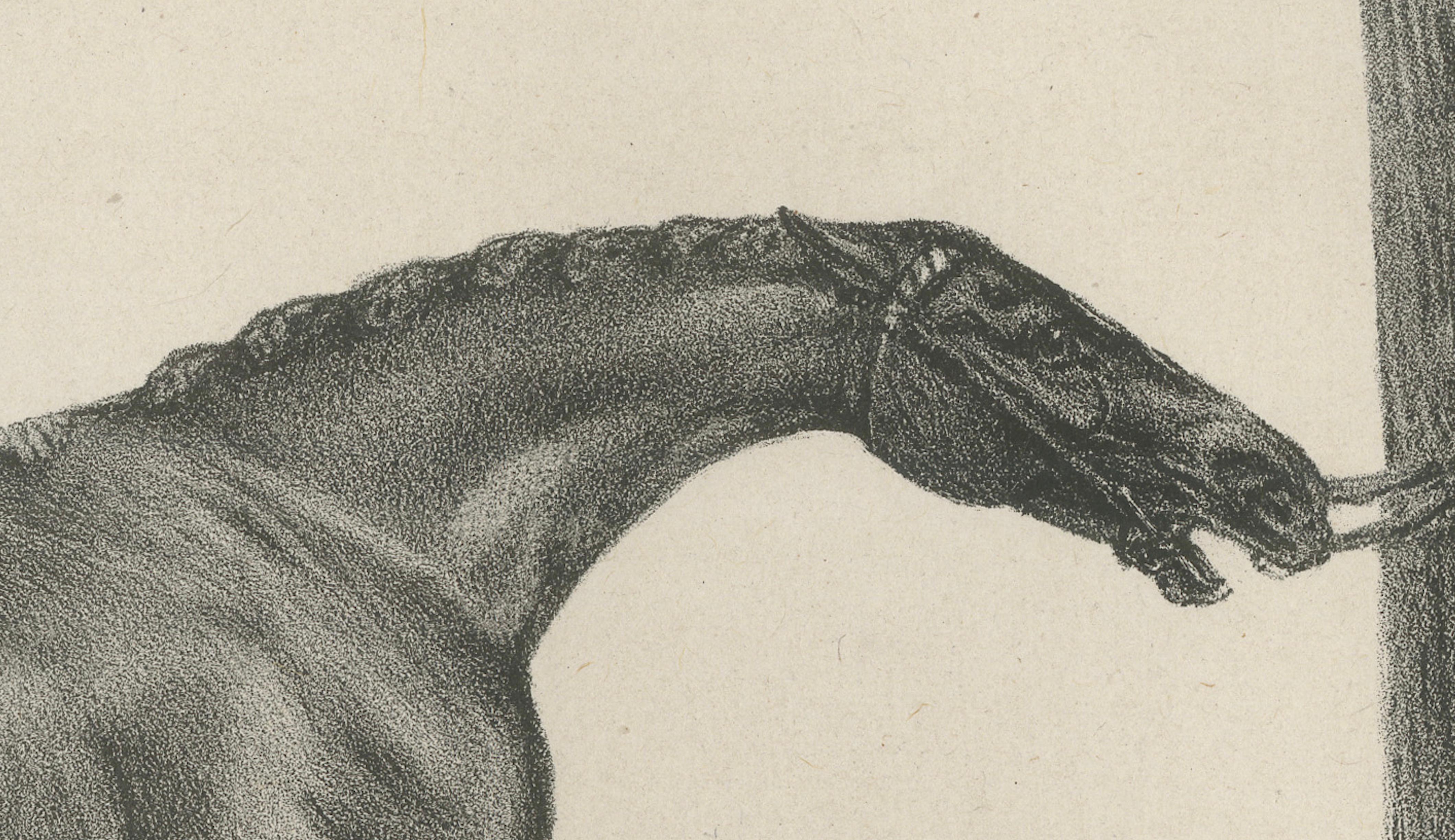 Muly Moloch – Antique Sporting Horse Lithograph, Hullmandel c.1840