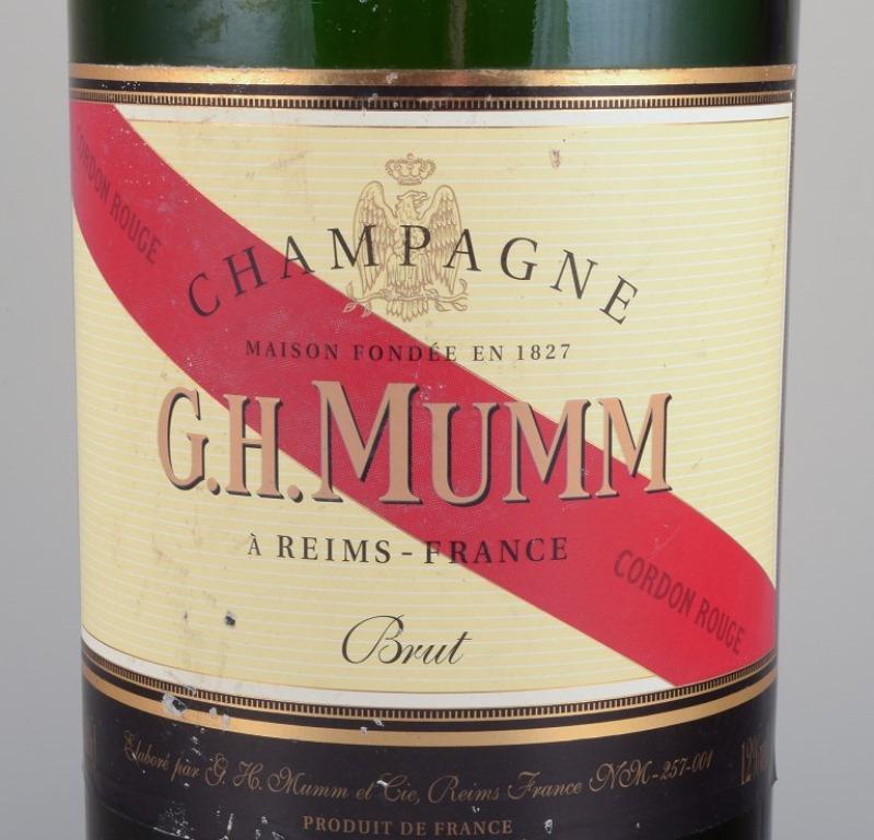 champagne bottle dimensions
