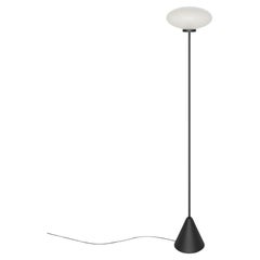 Mun Floor Lamp 170 (High)