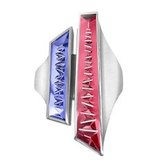 Bague moderne en platine avec tanzanite rouge et tourmaline, unique en son genre, Atelier Munsteiner