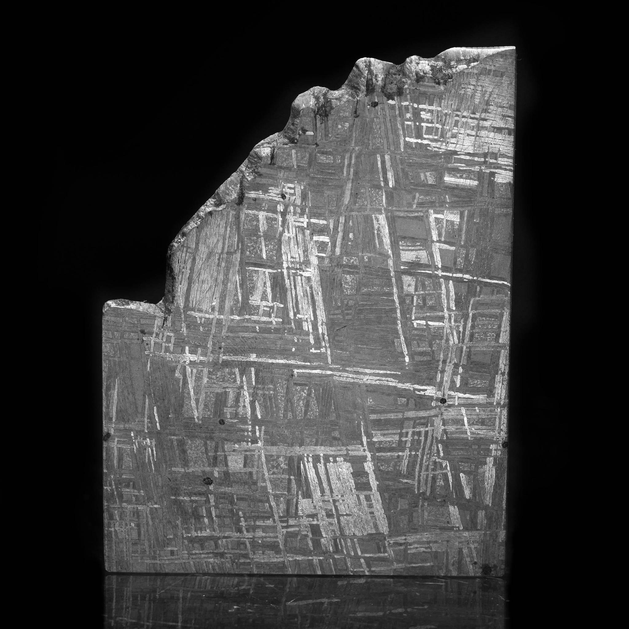 Questa straordinaria fetta di meteorite Muonionalusta proveniente dalla Svezia è un esempio straordinario di bellezza extraterrestre. Caratterizzato da intricati motivi Widmanstätten, questo pezzo è un'affascinante dimostrazione dell'arte della