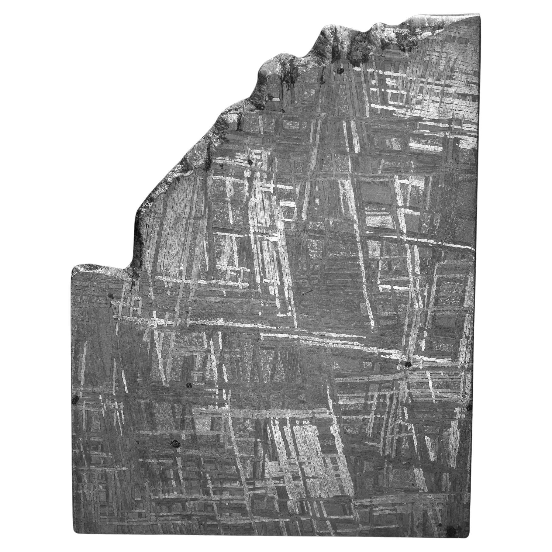 Fetta di meteorite Muonionalusta - 125g in vendita