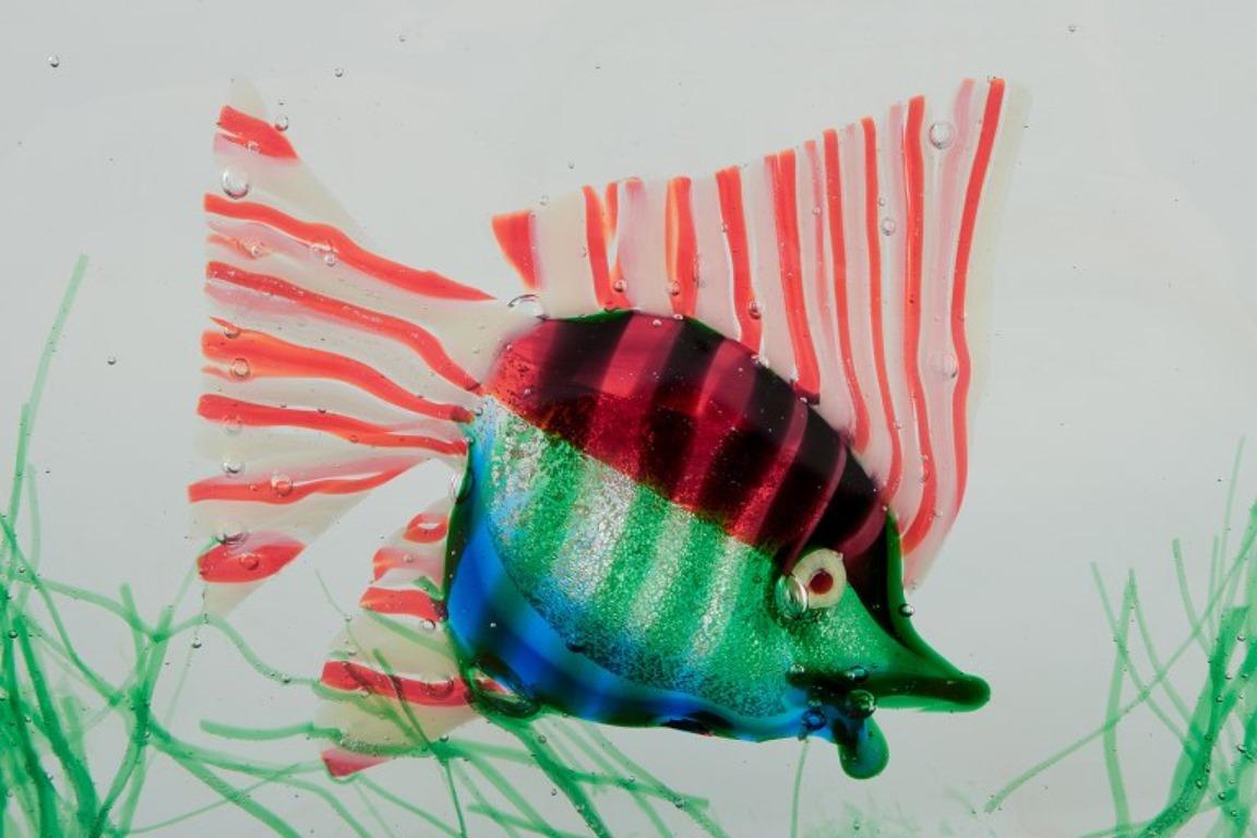Metà XX secolo Acquario di Murano. Modello molto grande. Dagli anni '60. in vendita