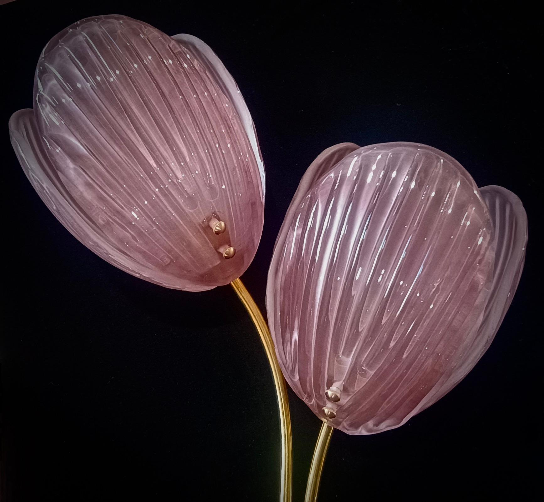 Esta encantadora lámpara de pared está totalmente hecha a mano en Murano. Cada hoja está hecha a mano con vidrio soplado de Murano de alta calidad; por eso cada hoja es ligeramente distinta de la otra. Color excitante, rosa intenso.

Los apliques