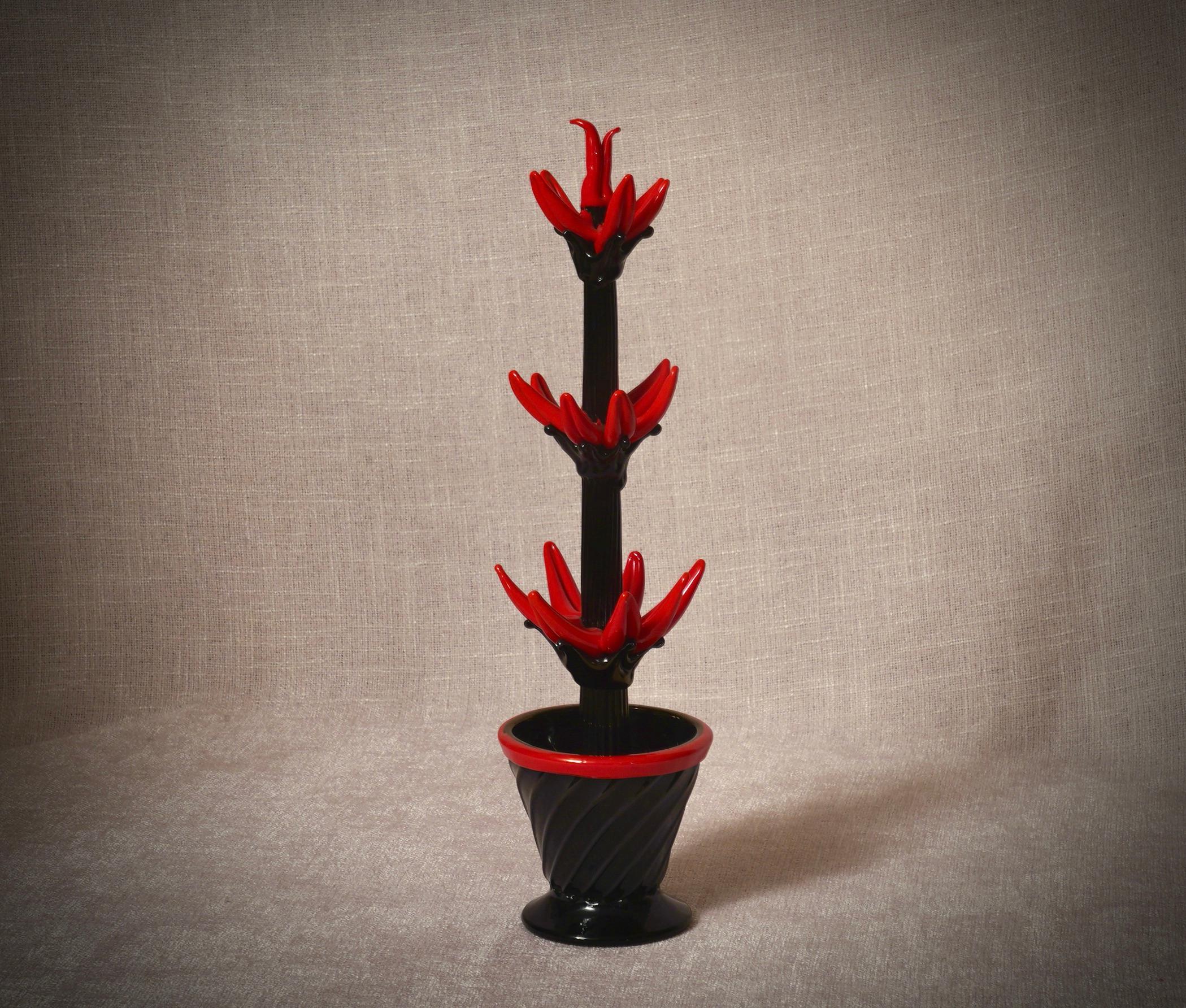 Un design italiano, questo cactus è un'icona dello stile italiano, caratterizzato da tonalità nere e rosse e da un bellissimo vaso in vetro nero. Le vetrerie di Murano creano un design innegabilmente senza tempo, semplice ma elegante. La