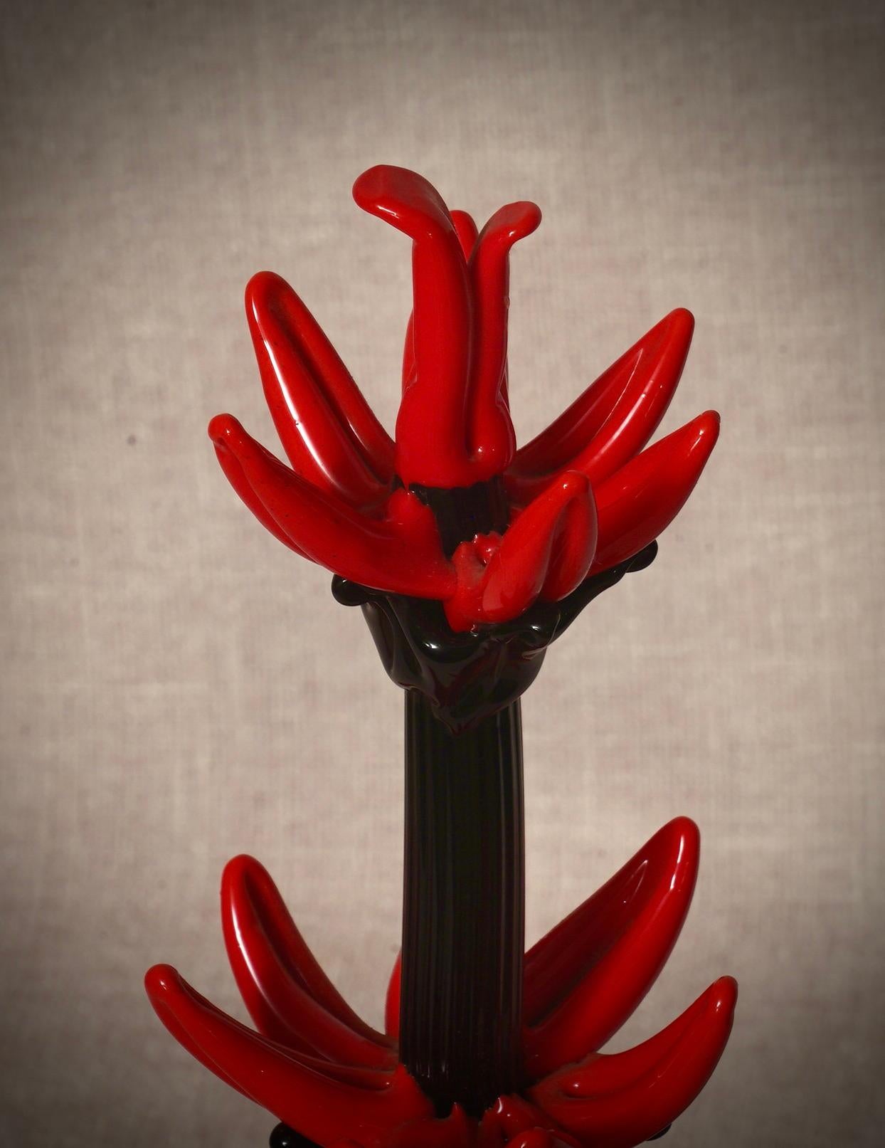 Mid-Century moderno Cactus rosso e nero in vetro artistico di Murano, 2000 in vendita