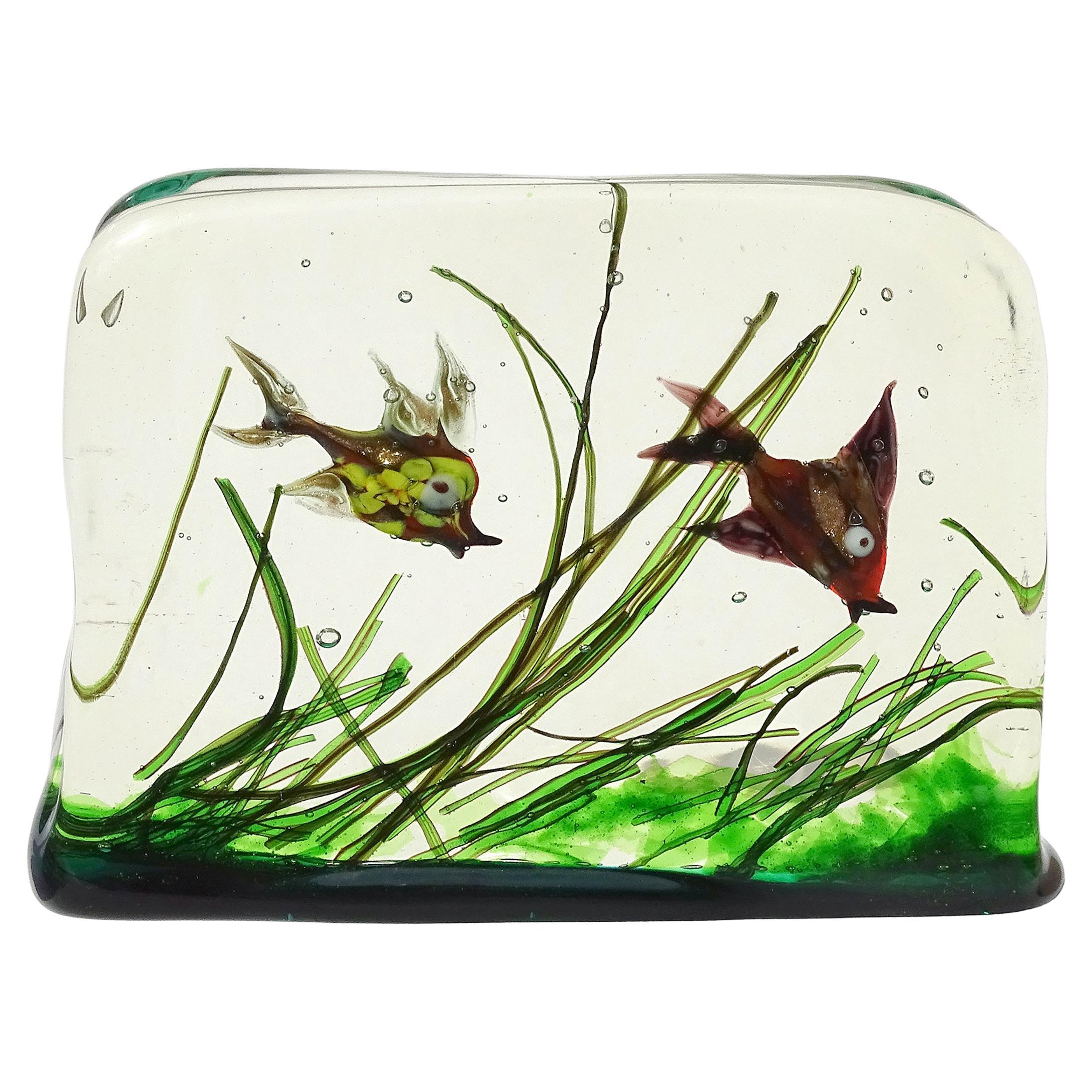 Murano AVeM Lila Rot Grün Schwimmender Doppelfisch Italienisches Kunstglas Aquarium im Angebot