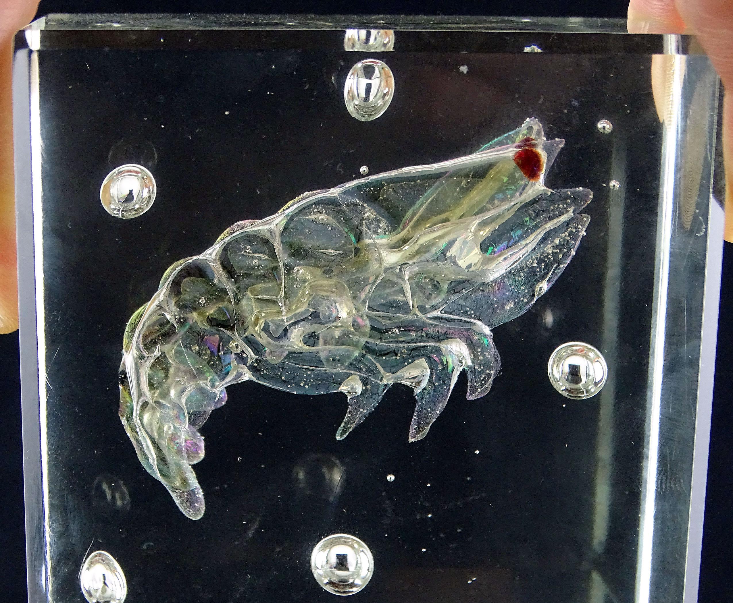 Pisapapeles acuario de cristal artístico italiano Murano Barbini firmado Camarón iridiscente Moderno de mediados de siglo en venta
