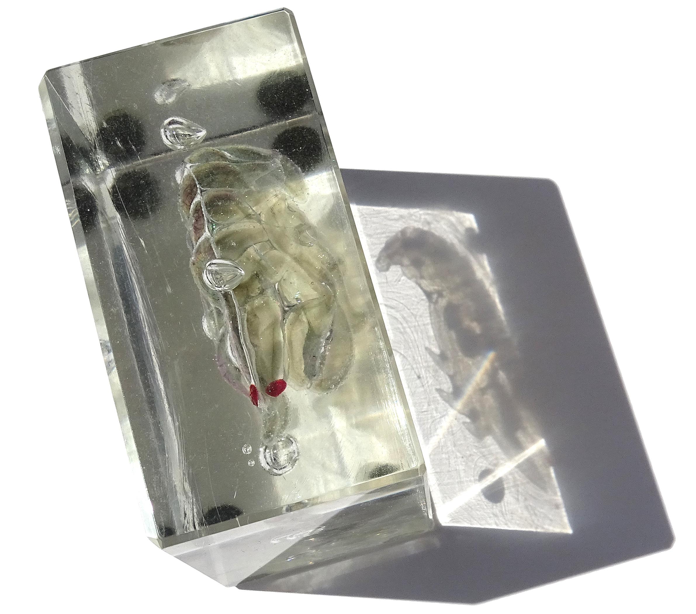 Pisapapeles acuario de cristal artístico italiano Murano Barbini firmado Camarón iridiscente en Bueno estado para la venta en Kissimmee, FL