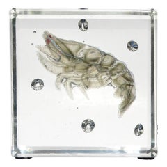 Pisapapeles