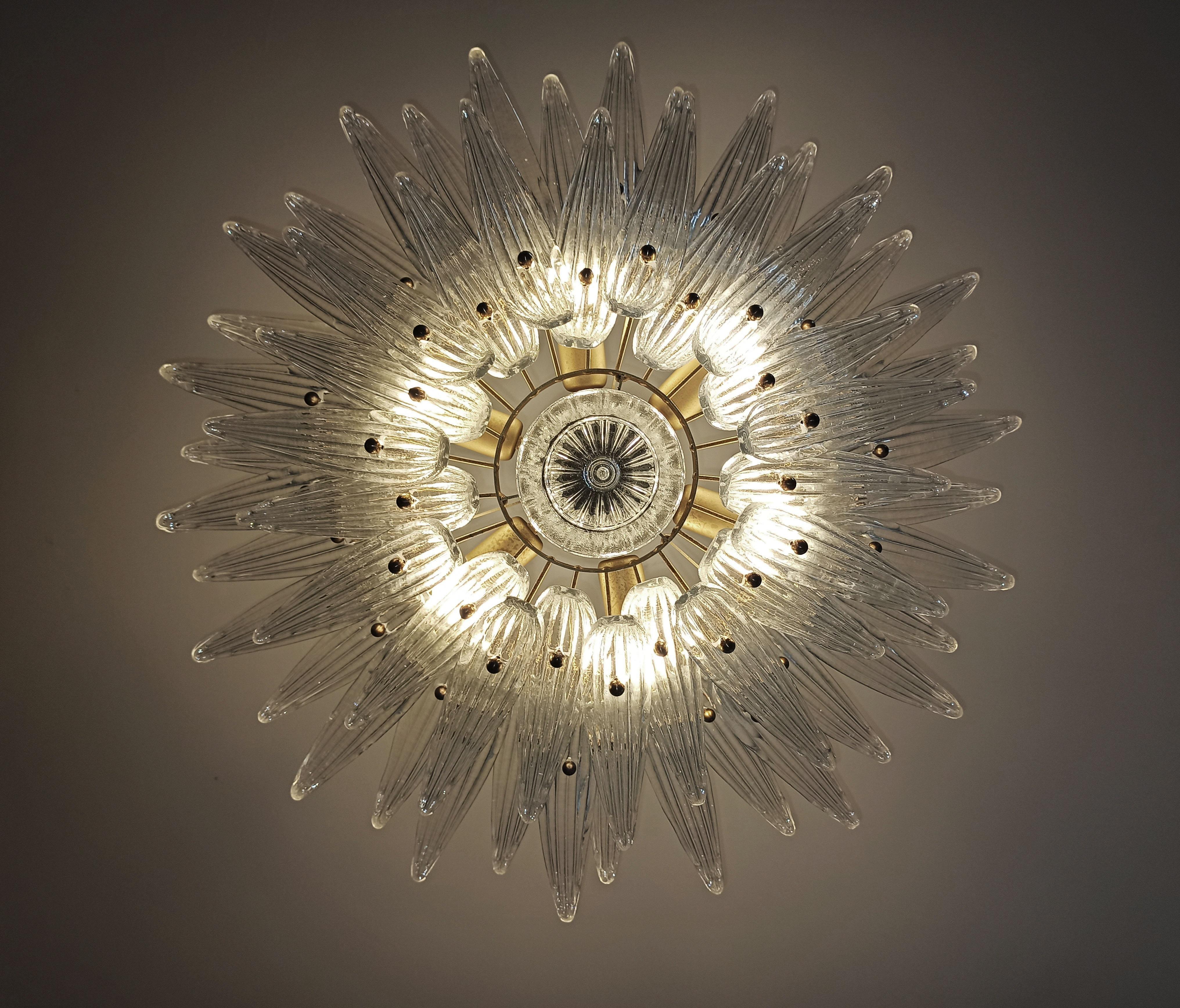 Murano Chandelier Original Palmette, Trasparent Glass 12