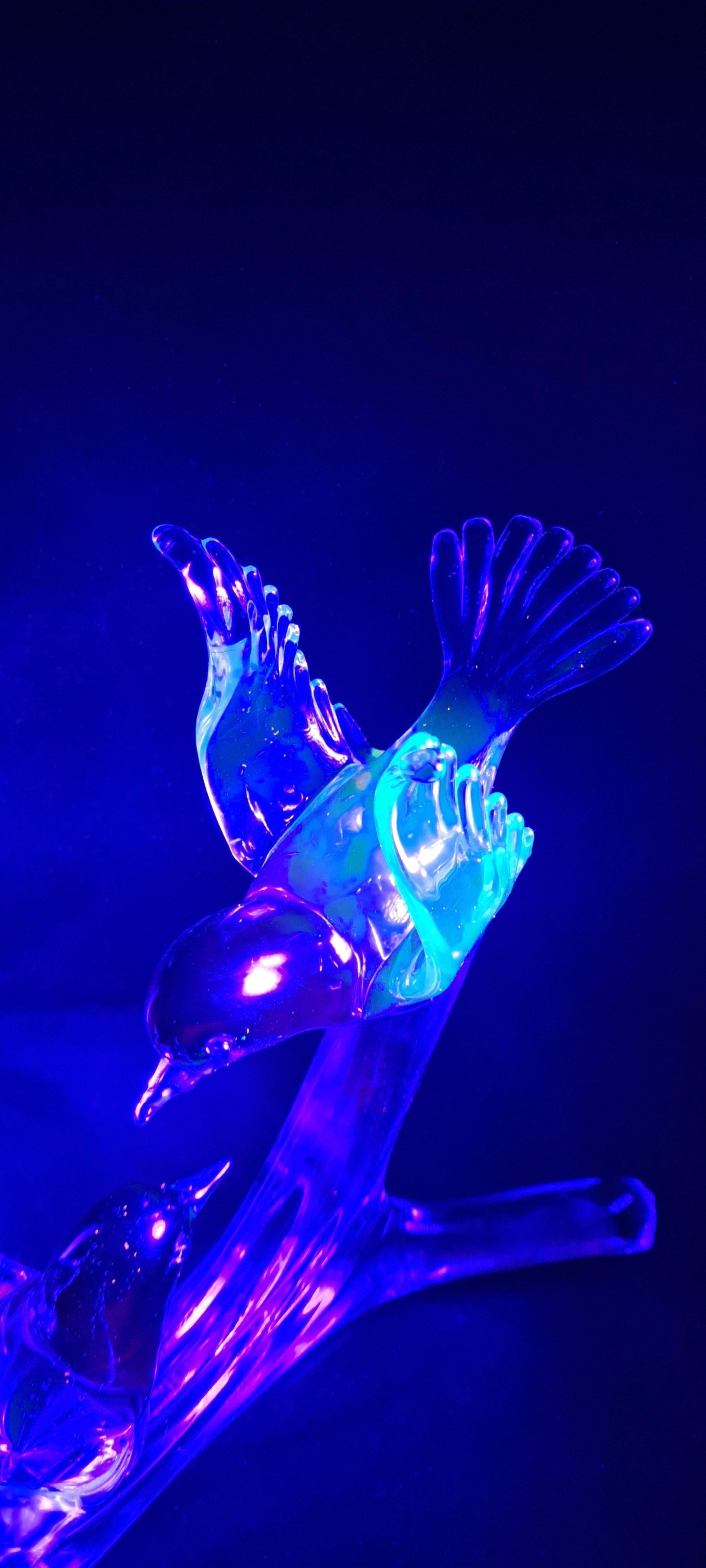 Murano Glass Alexandrite Neodymium Birds on The Branch Signed by Renato Anatra 2